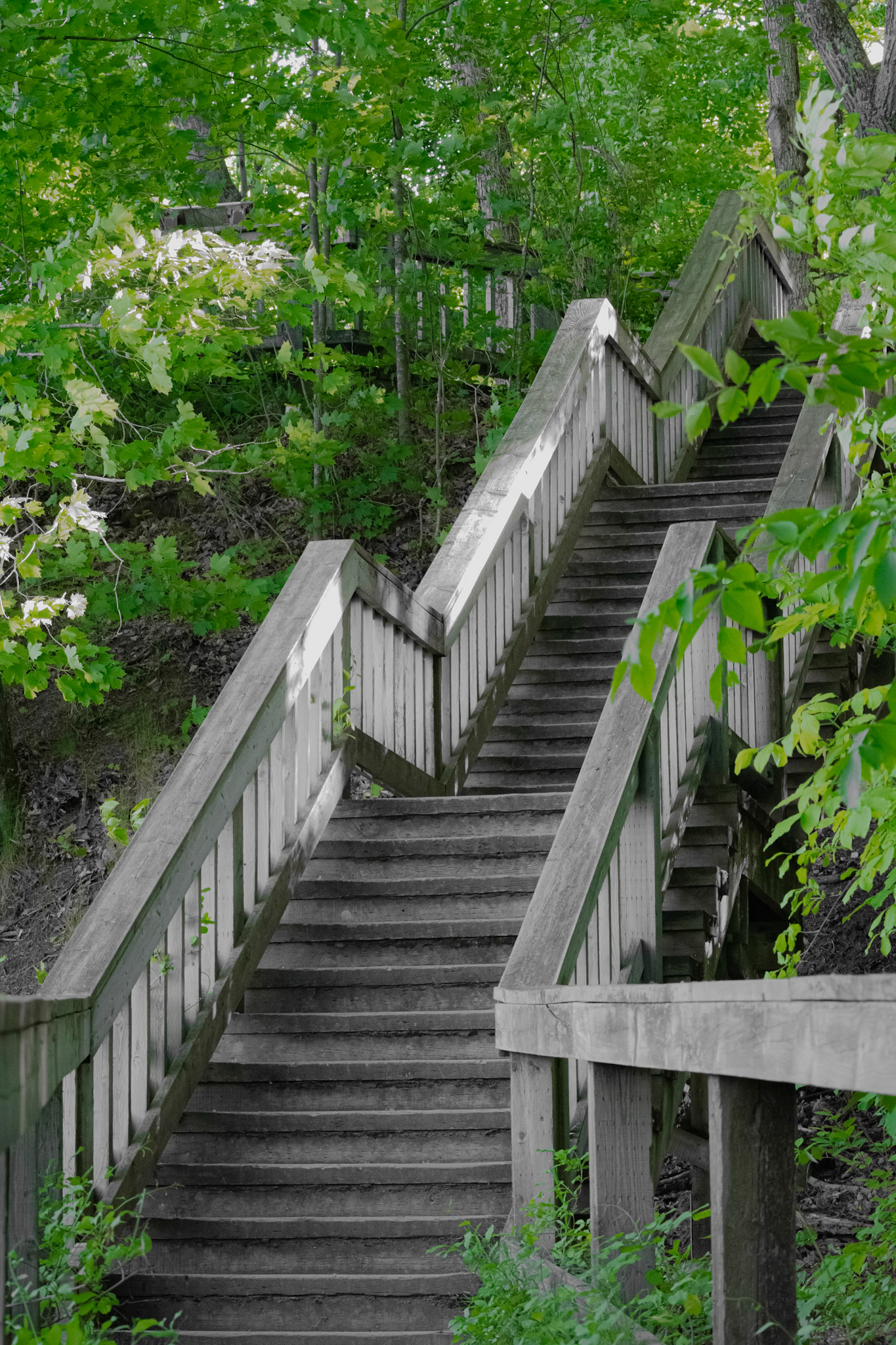 Lac Leamy Ladder. Shot with: Nikon D5200 + Sigma 70-300mm.