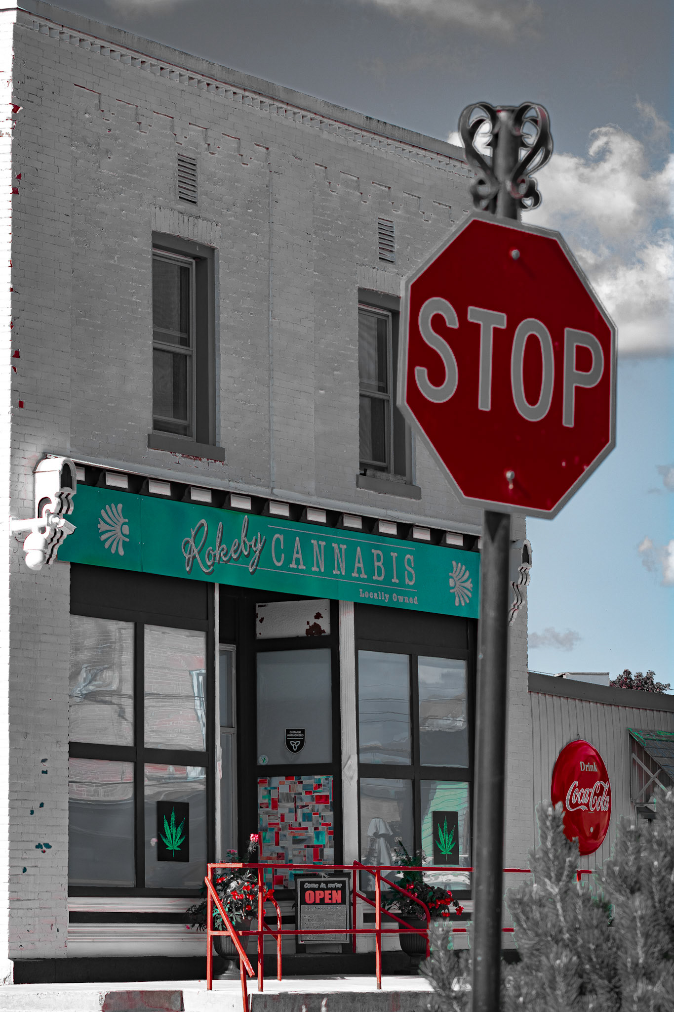 Pot Shop - Full Colour; Shot with: Nikon D5200 + Sigma 70-300mm.