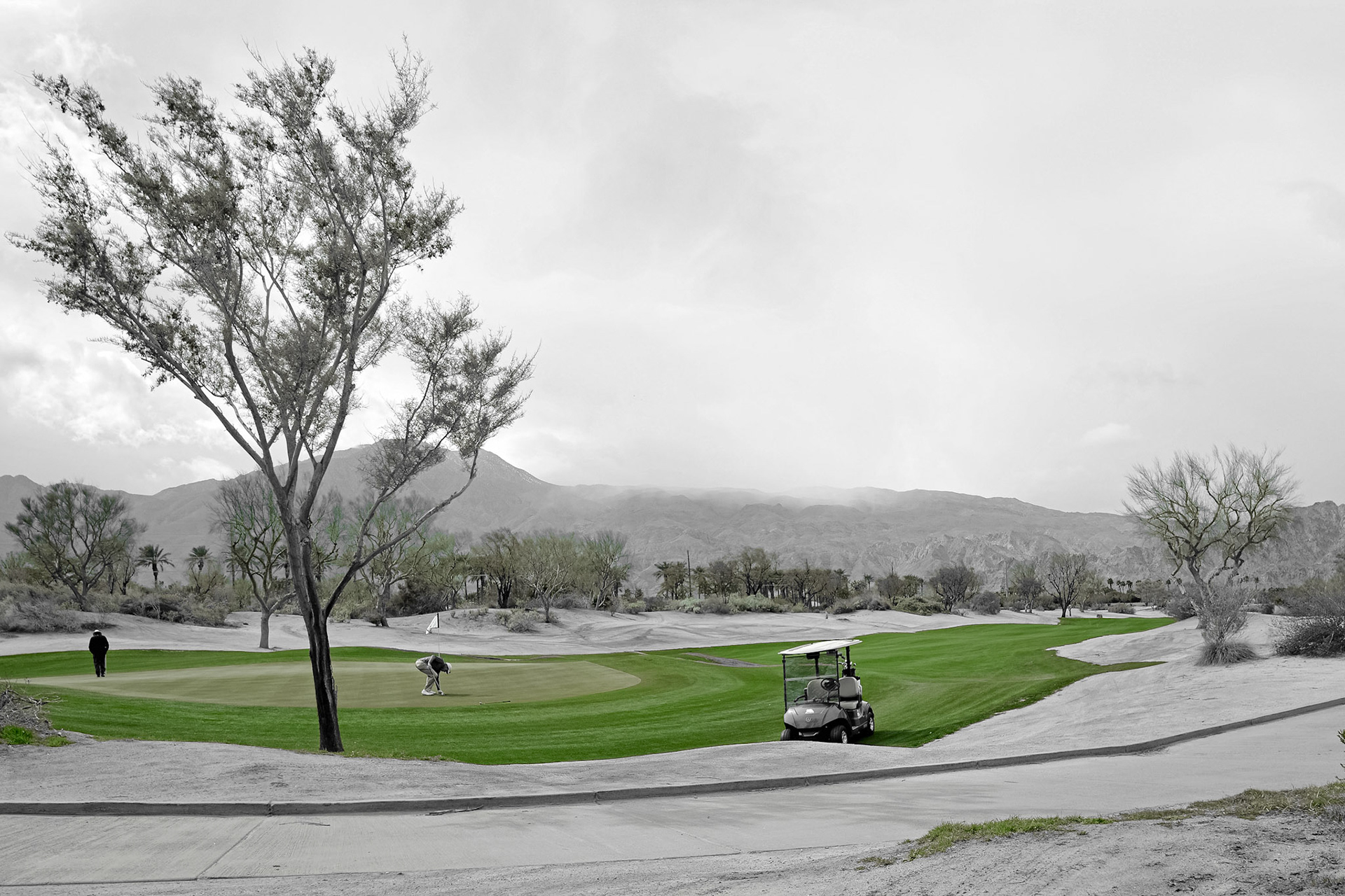 Caddy Captures. Shot with: Nikon D5200 + Tamron 10-24mm.