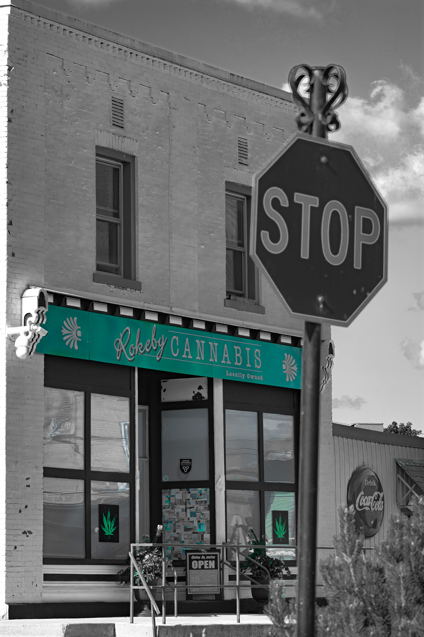 Pot Shop - Teal Pop; Shot with: Nikon D5200 + Sigma 70-300mm.