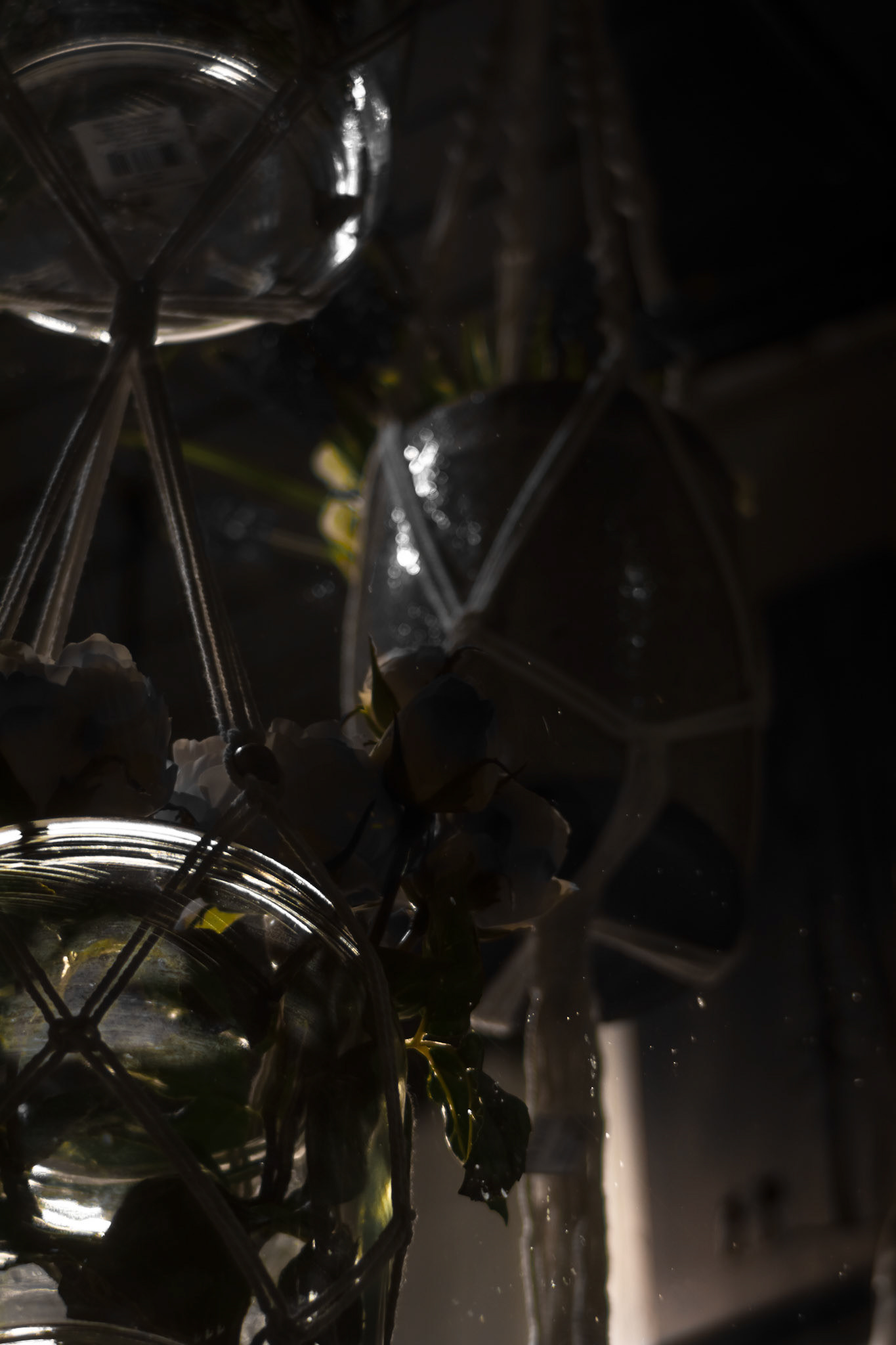 Hanging Displays. Shot with: Nikon D5200 + Vivitar 85-205mm.