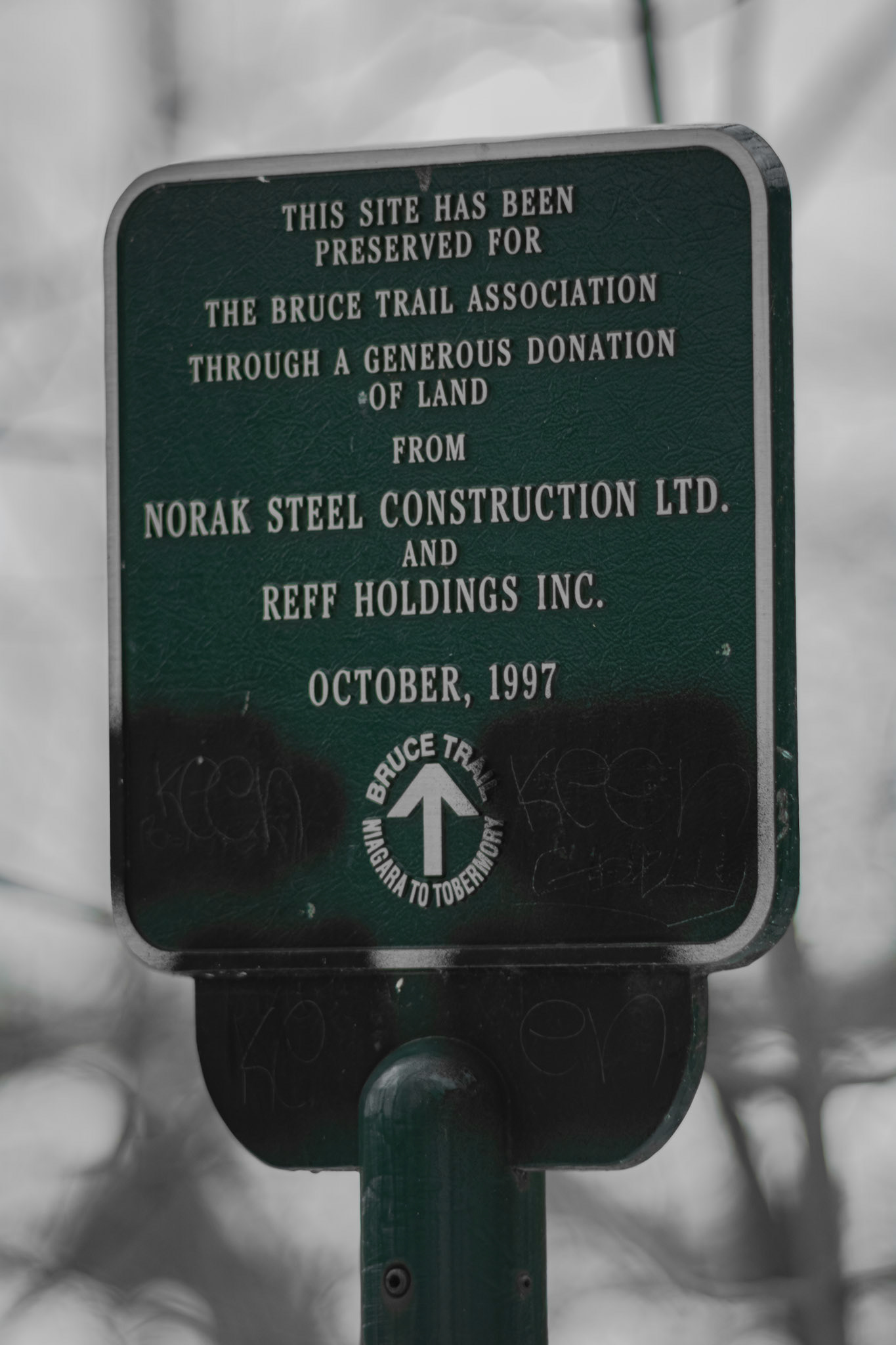 Local Gem. Shot with: Nikon D5200 + Vivitar 85-205mm.