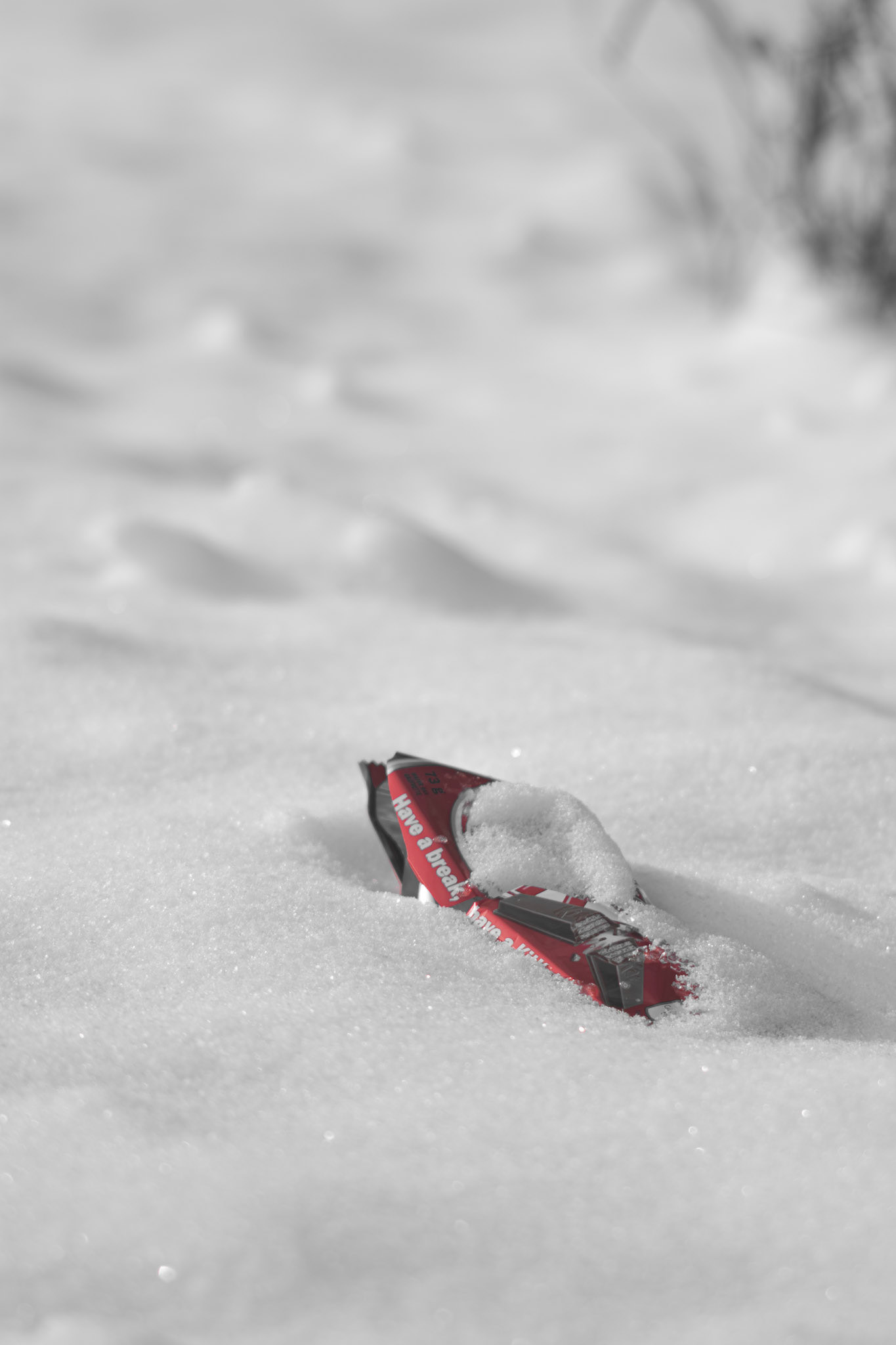 Shot with: Nikon D5200 + Vivitar 85-205mm3.8f.