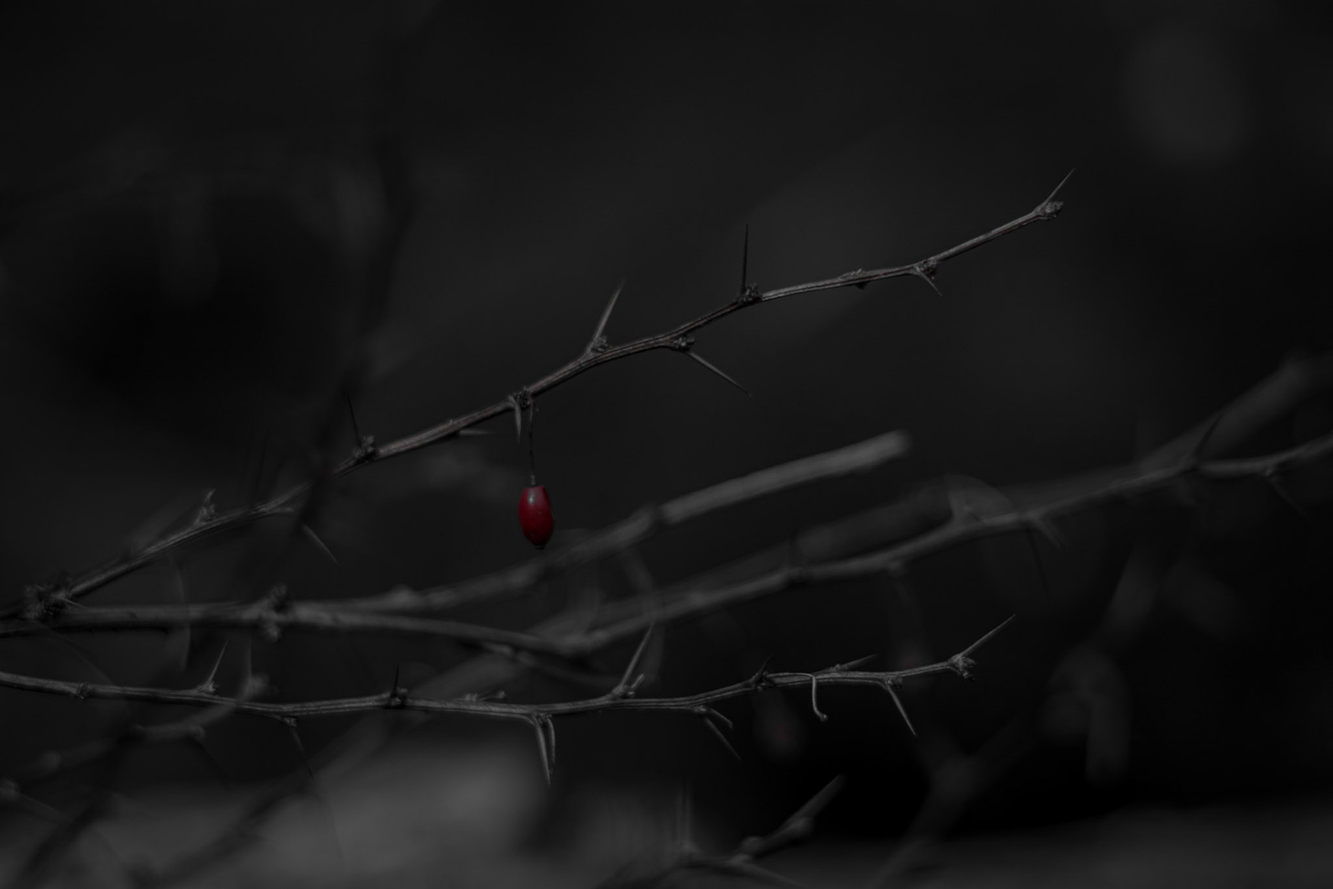 Shot with: Nikon D5200 + Vivitar 85-205mm3.8f.