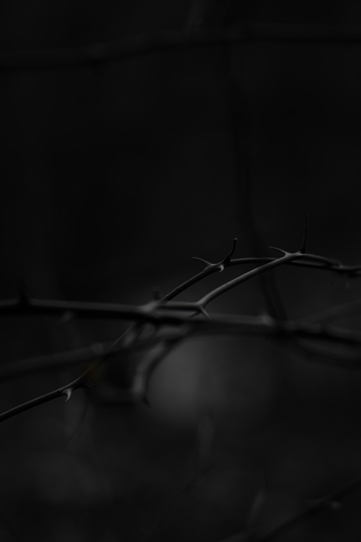 Shot with: Nikon D5200 + Vivitar 85-205mm3.8f.
