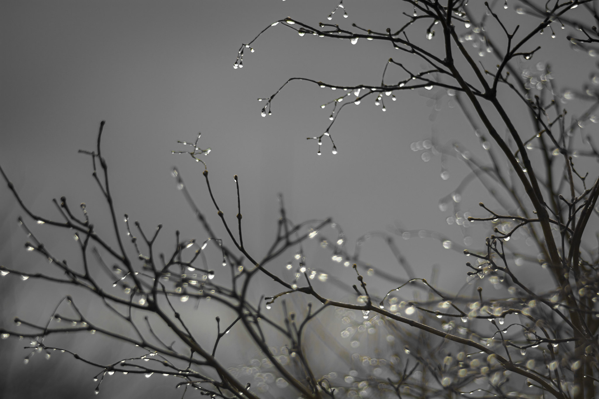 Shot with: Nikon D5200 + Vivitar 85-205mm (3.8f)