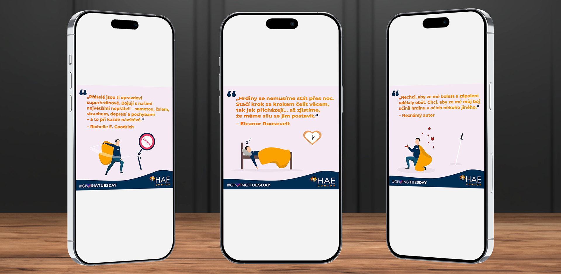 DESIGN PŘÍSPĚVKŮ NA SOC. SÍTĚ - HAE JUNIOR z.s. (ČESKÁ REPUBLIKA)