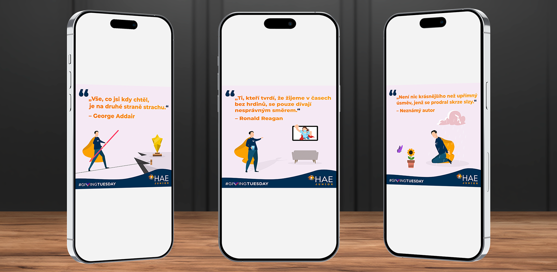 DESIGN PŘÍSPĚVKŮ NA SOC. SÍTĚ - HAE JUNIOR z.s. (ČESKÁ REPUBLIKA)