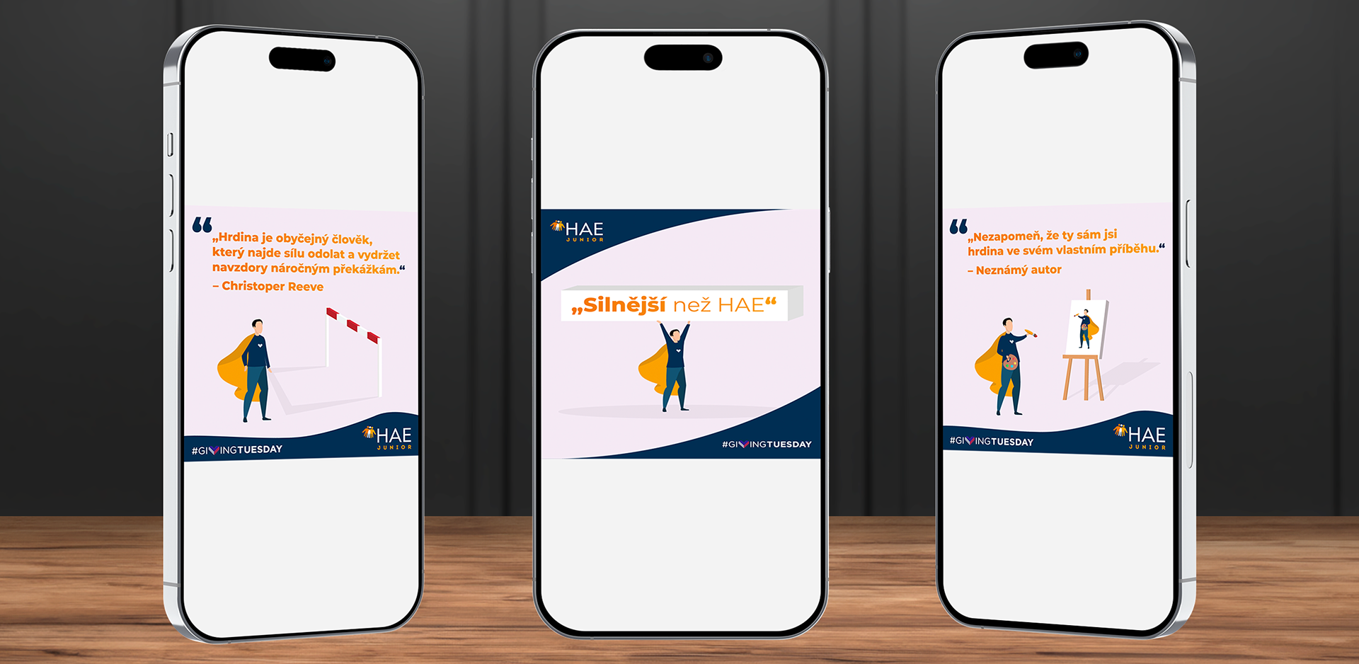 DESIGN PŘÍSPĚVKŮ NA SOC. SÍTĚ - HAE JUNIOR z.s. (ČESKÁ REPUBLIKA)