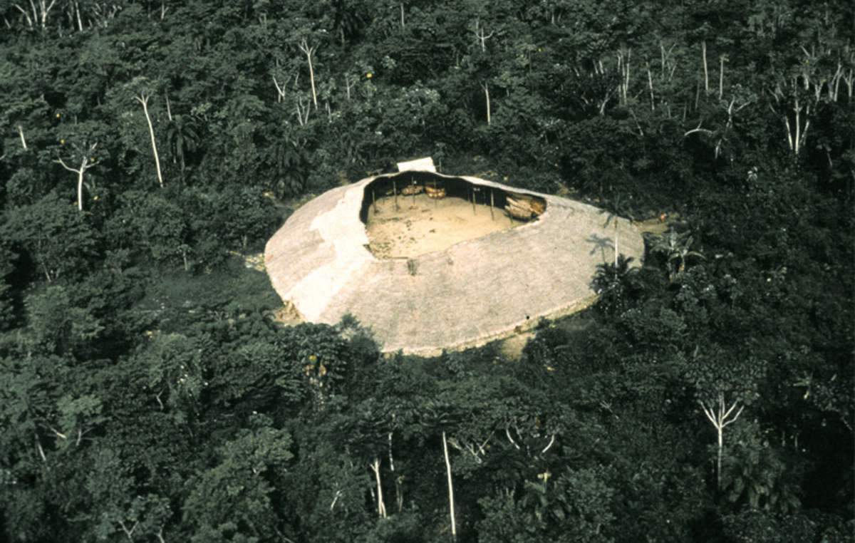 YANOMAMI COMMUNITY (DENNISON BERWICK/SURVIVAL)