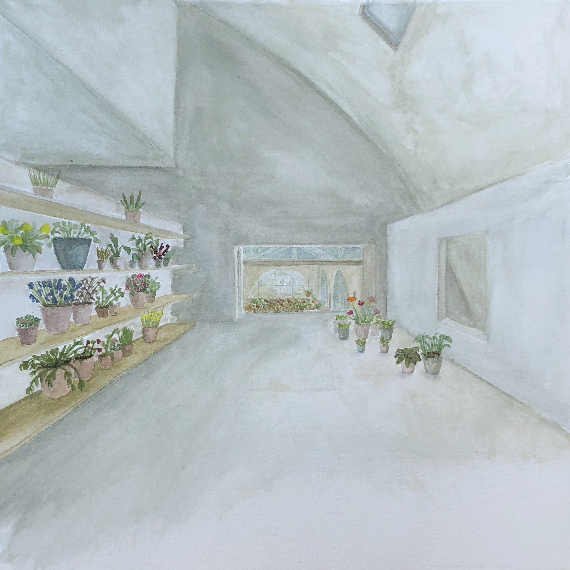 Plant Storage & Nursery