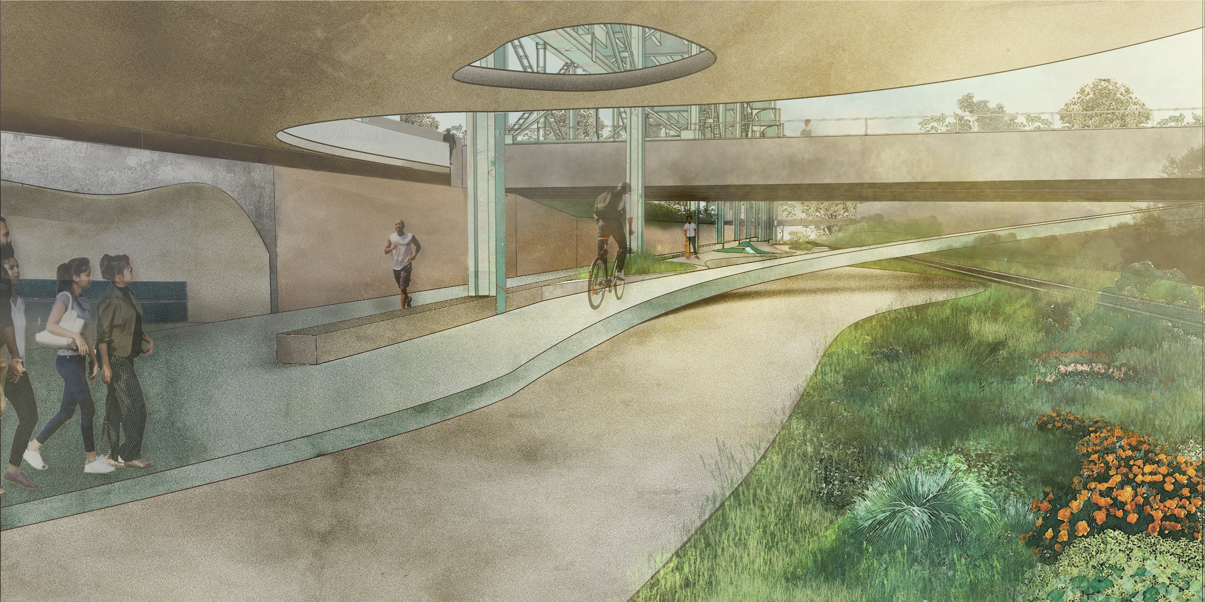 Biking + Jogging Path