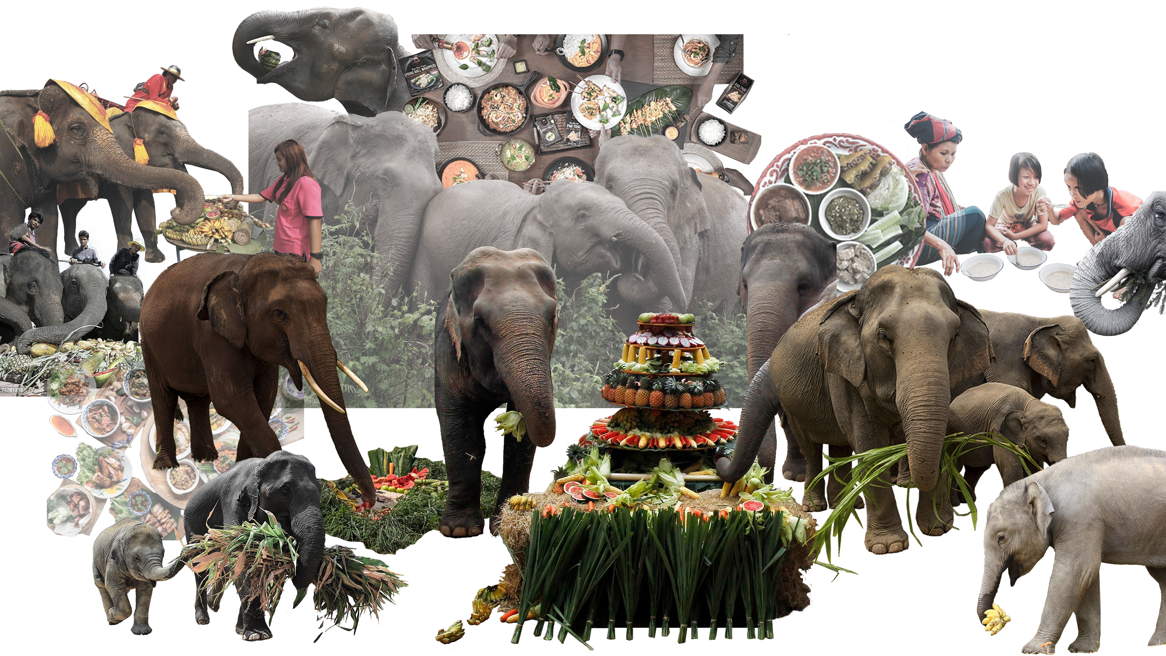 Mealtime Traditions, Thailand - National Elephant Day & Human Daily Routine