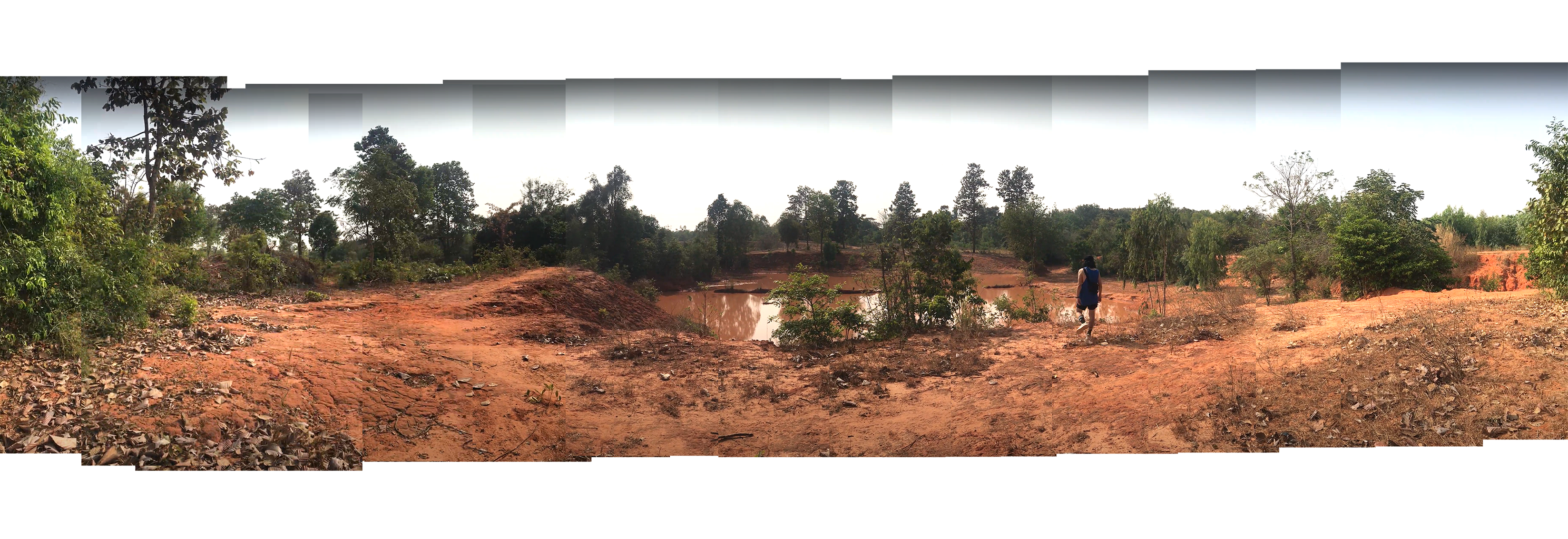 Rainy Season Site (above pond)