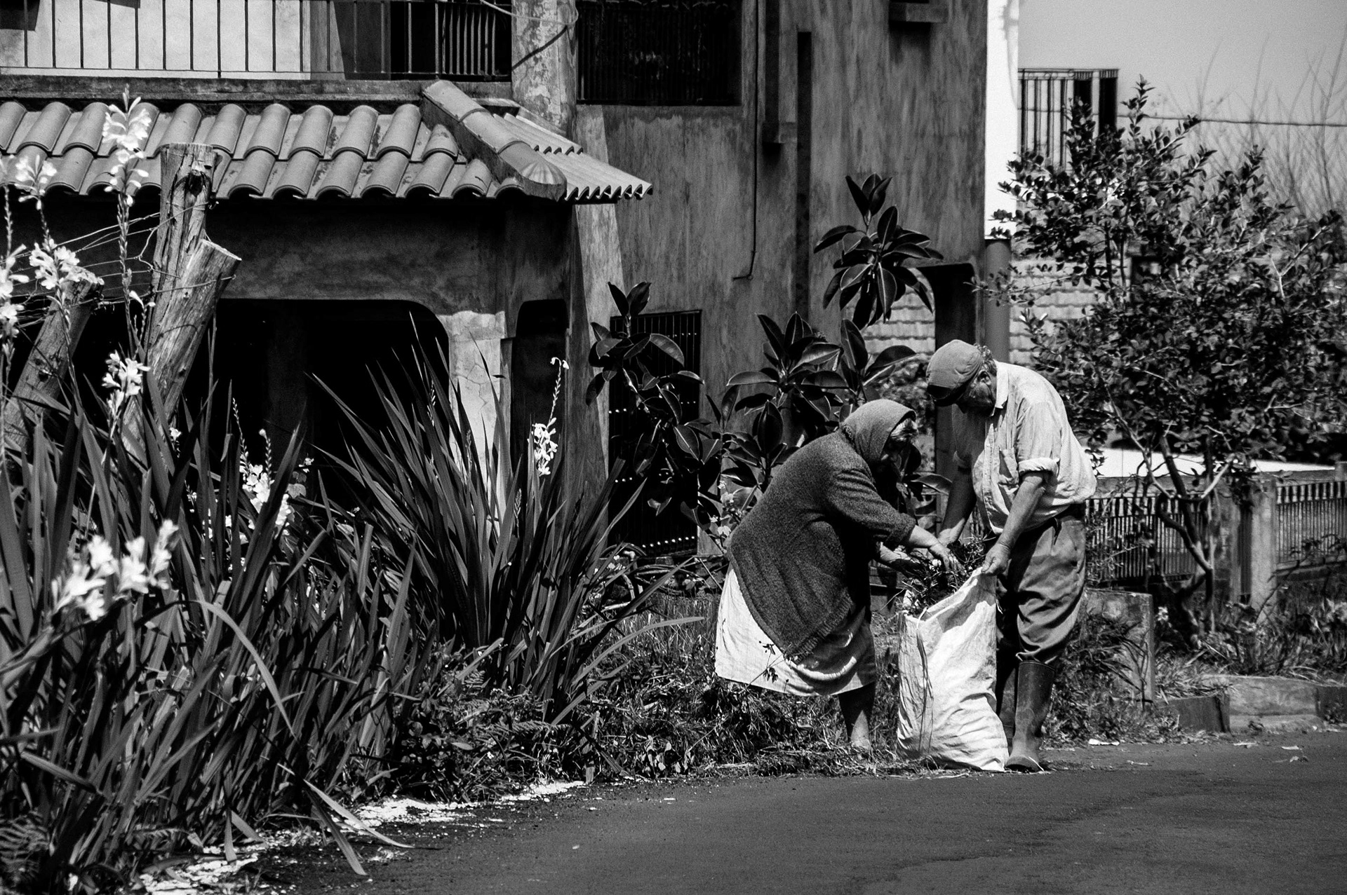 Shared Hands, Madeira