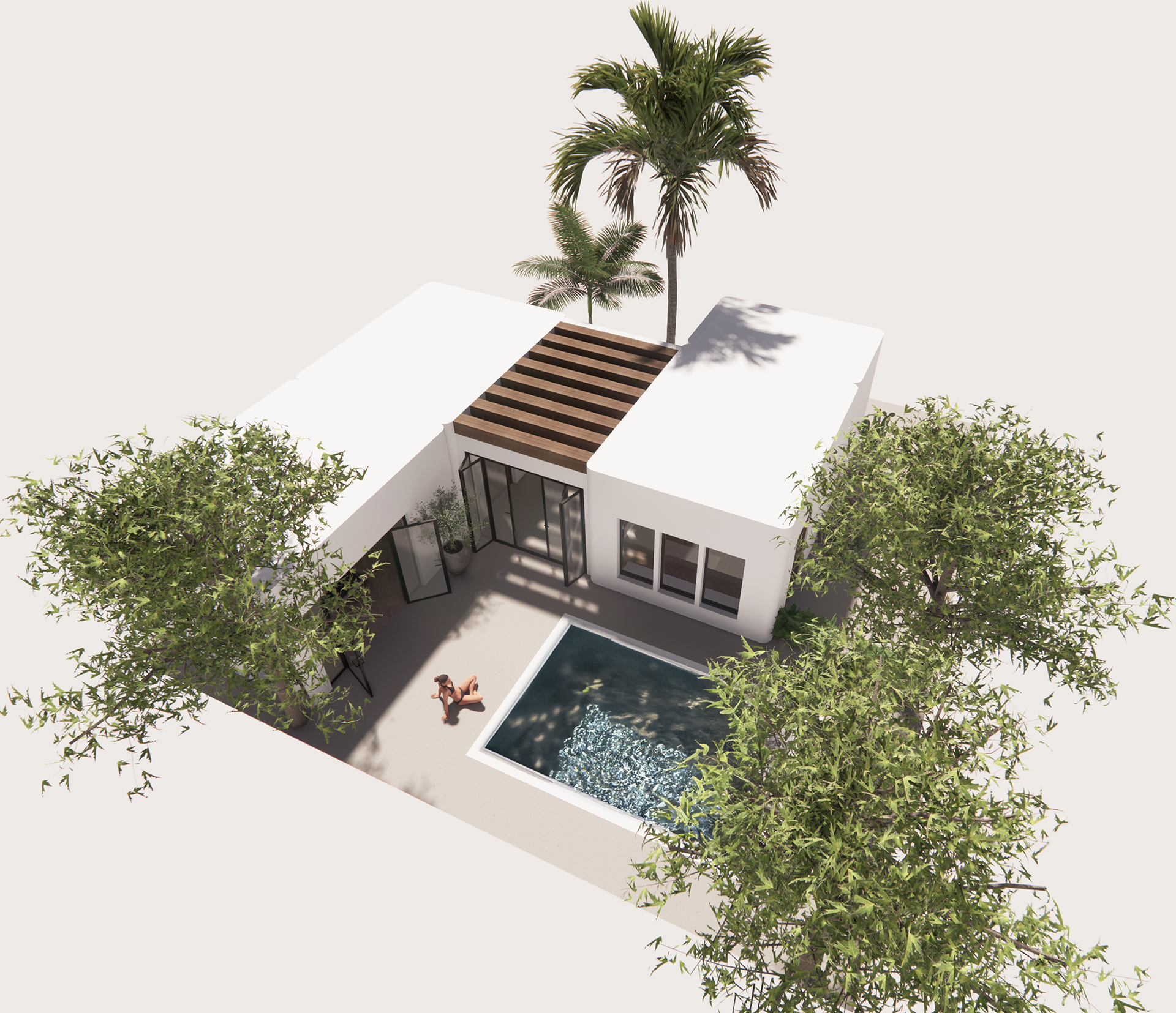 bird’s-eye view