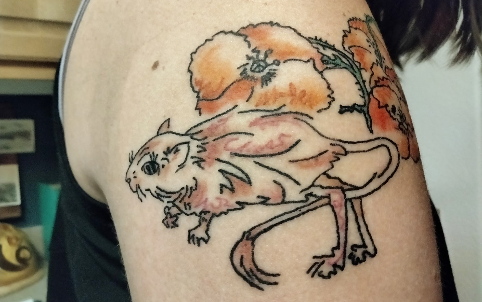 Kangaroo Rat with Poppies 2021