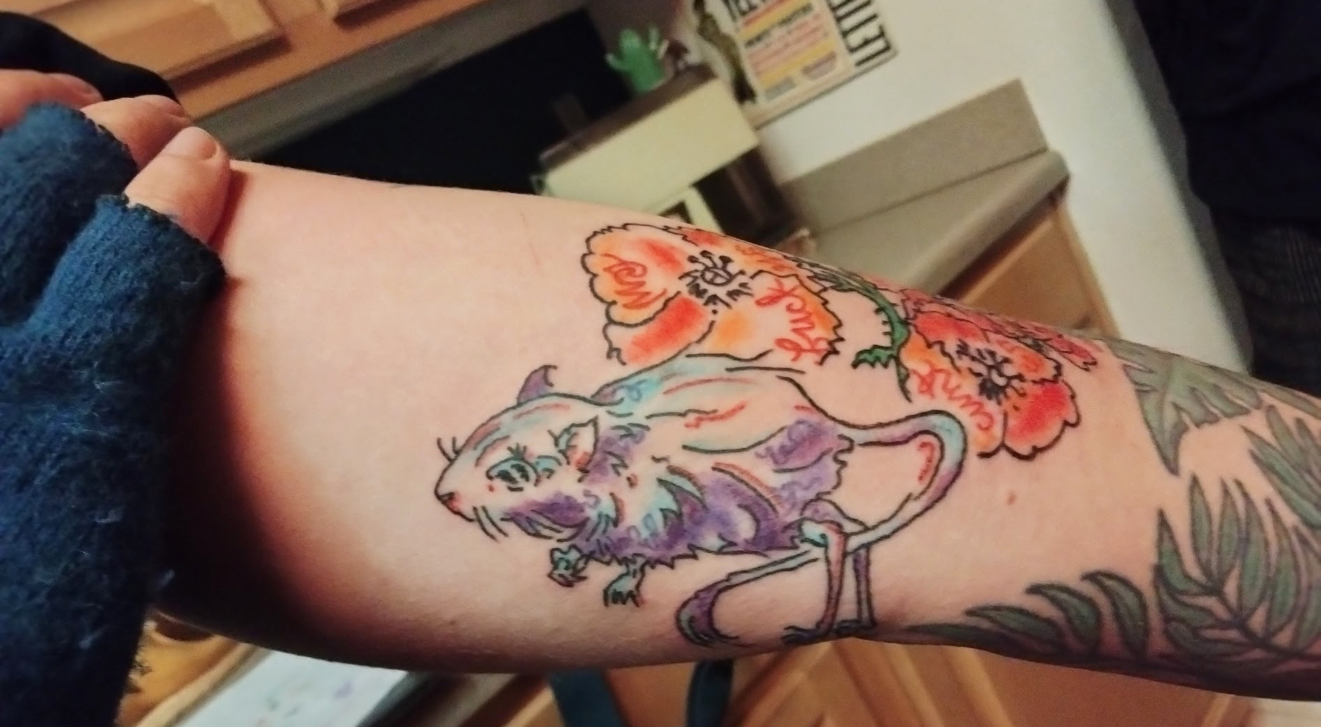 Kangaroo Rat with Poppies 2021
