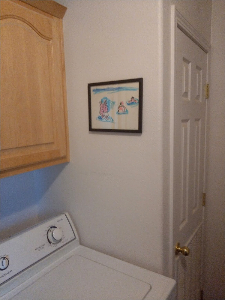 "Hydra Dip" 2019 (laundry room install)