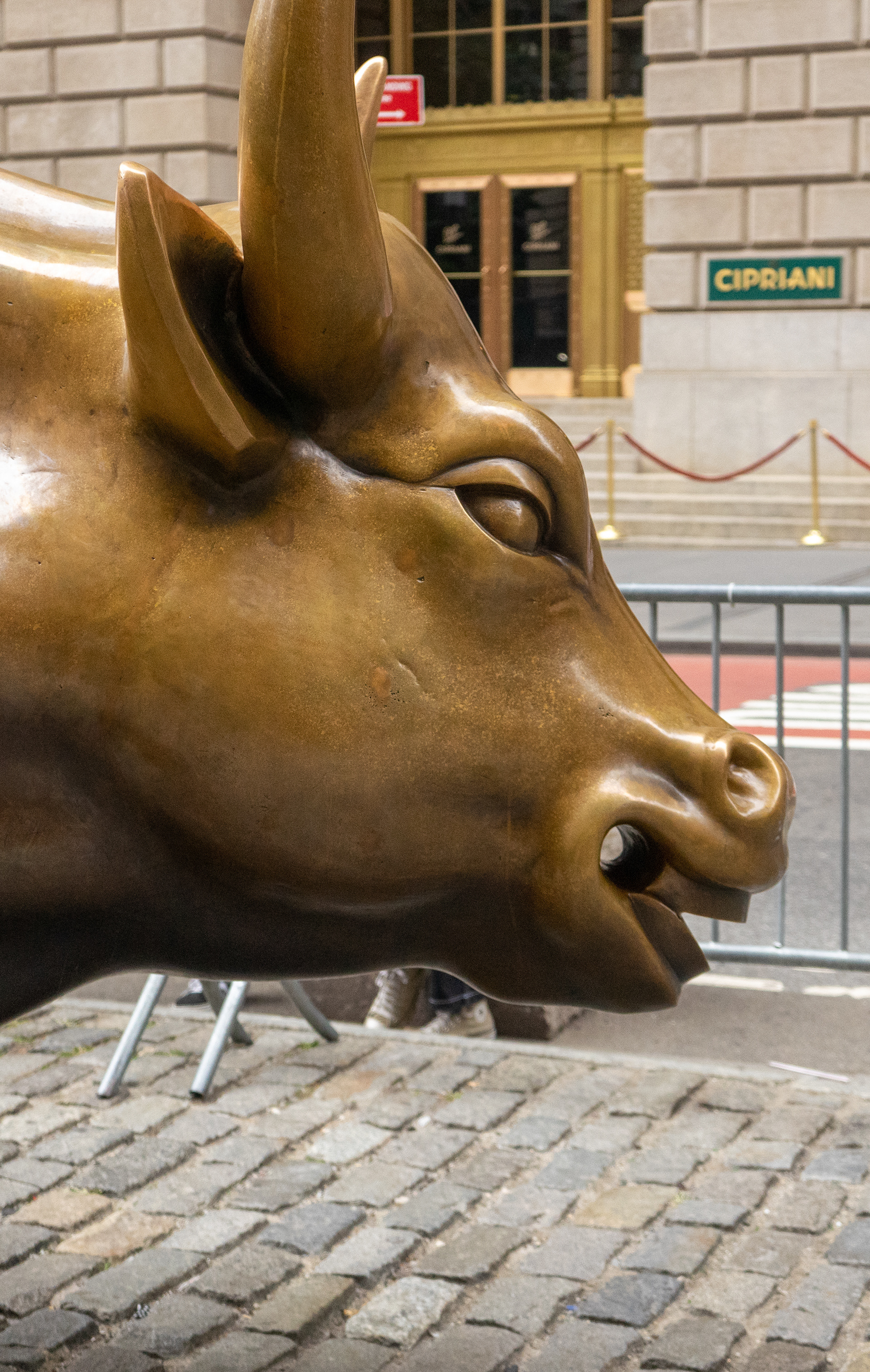 The bull of Wall Street in New York, N.Y.