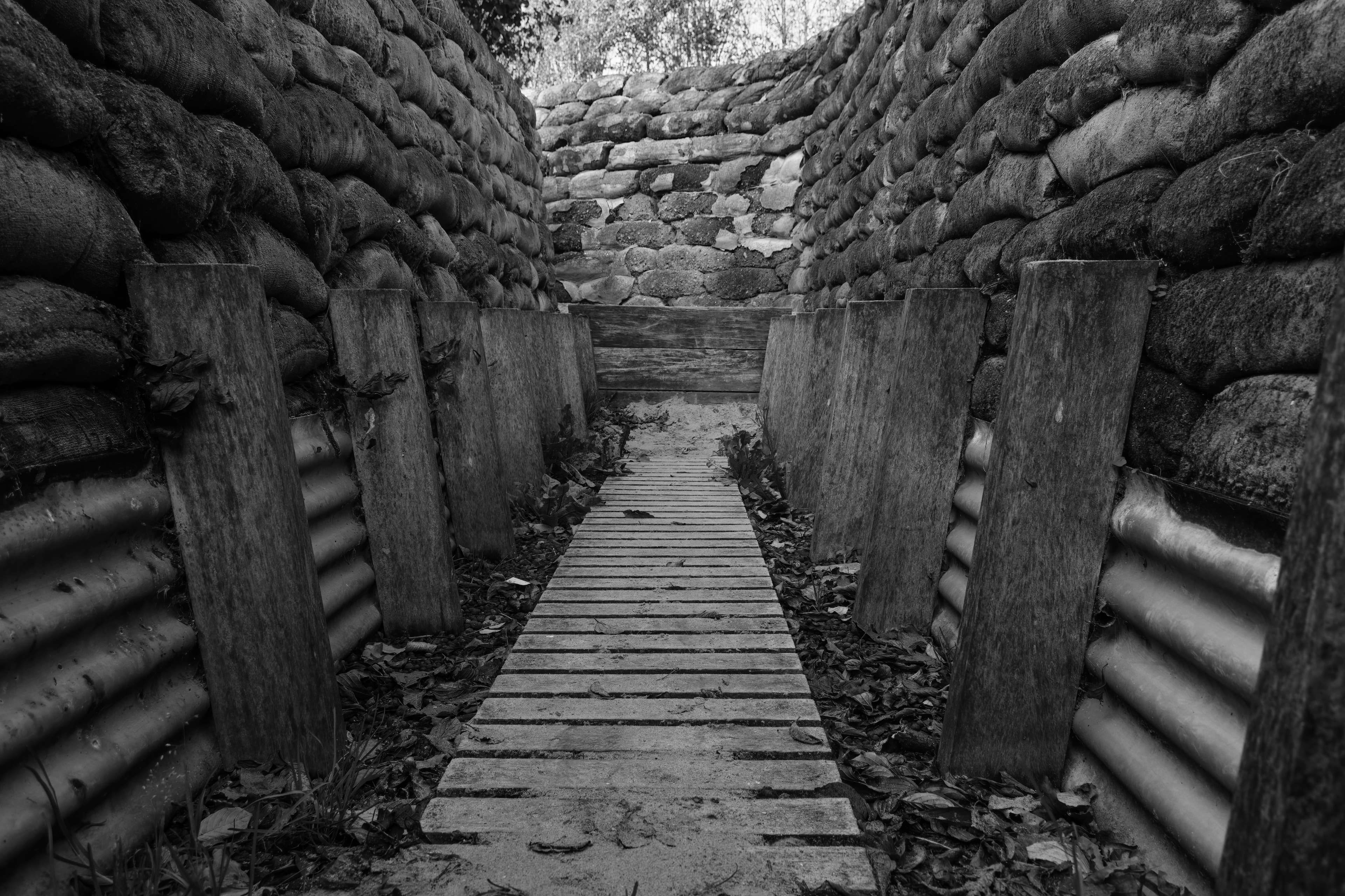 Yorkshire Trench and Dug Out
