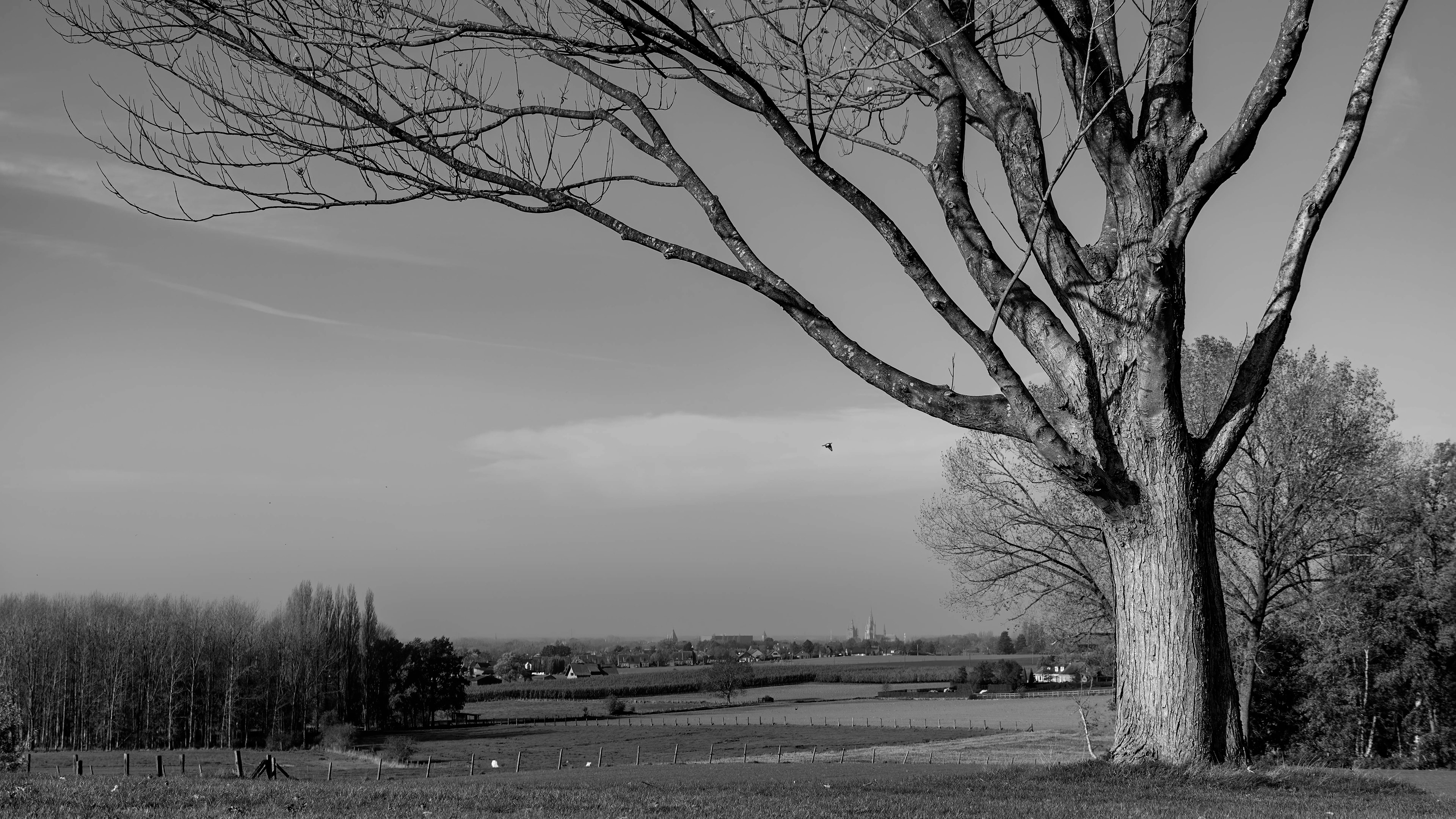 Hill 62￨panorama van Ieper