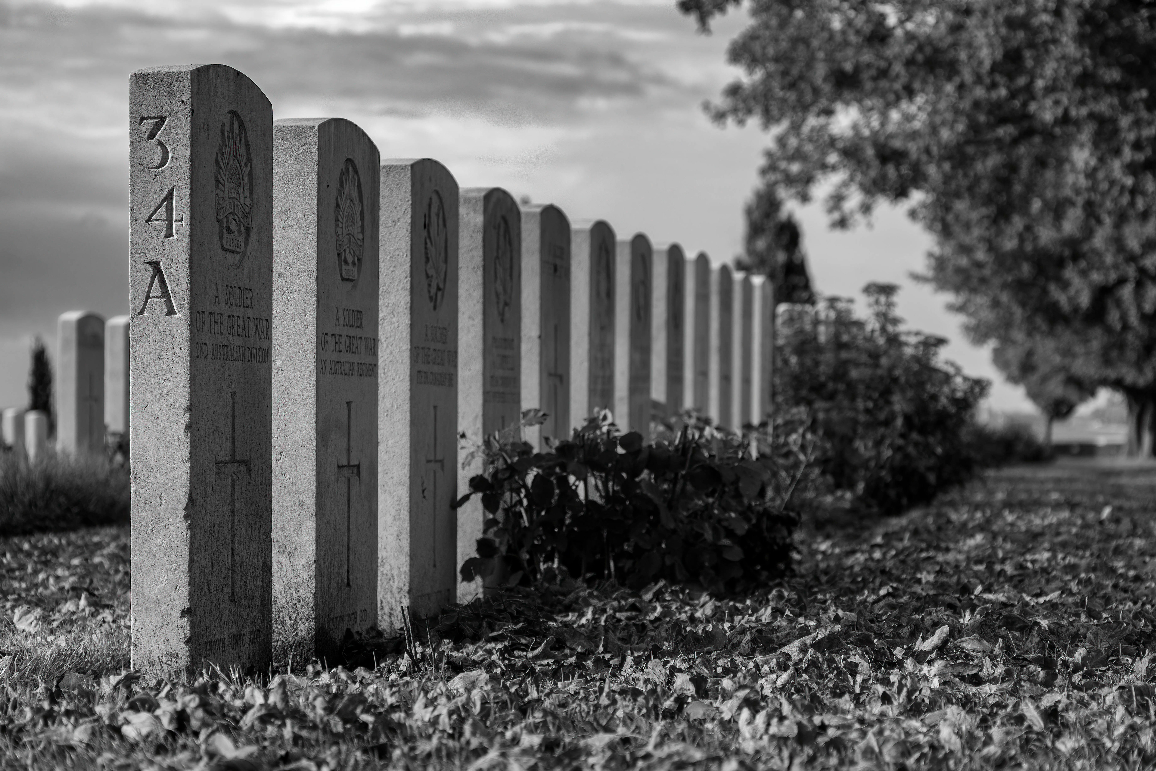 A Soldier of the Great War