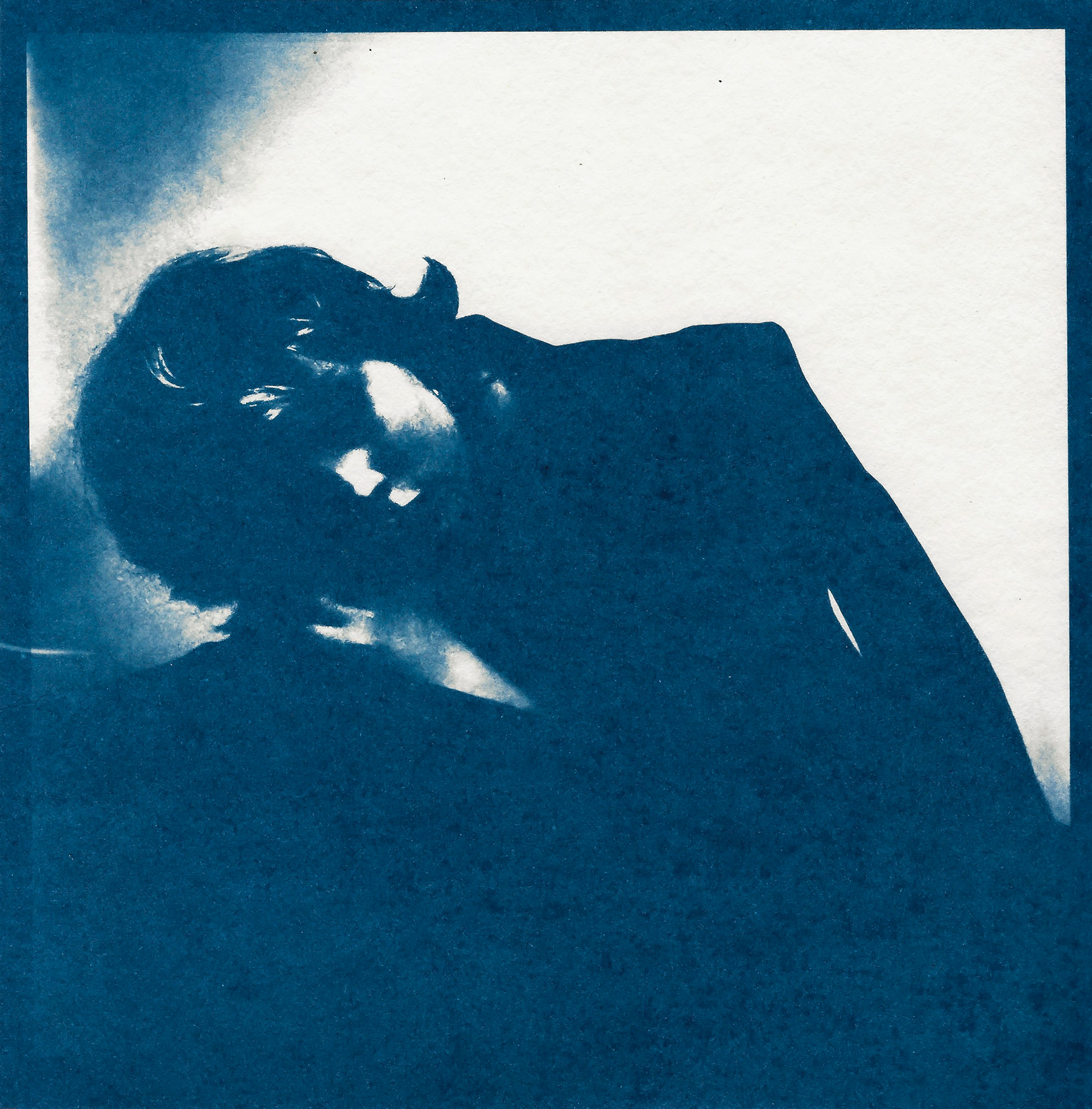 Cyanotype, 8x8