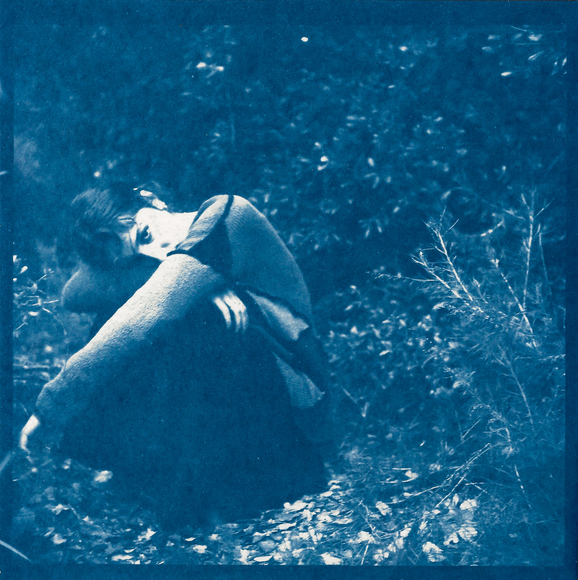 Cyanotype, 8x8