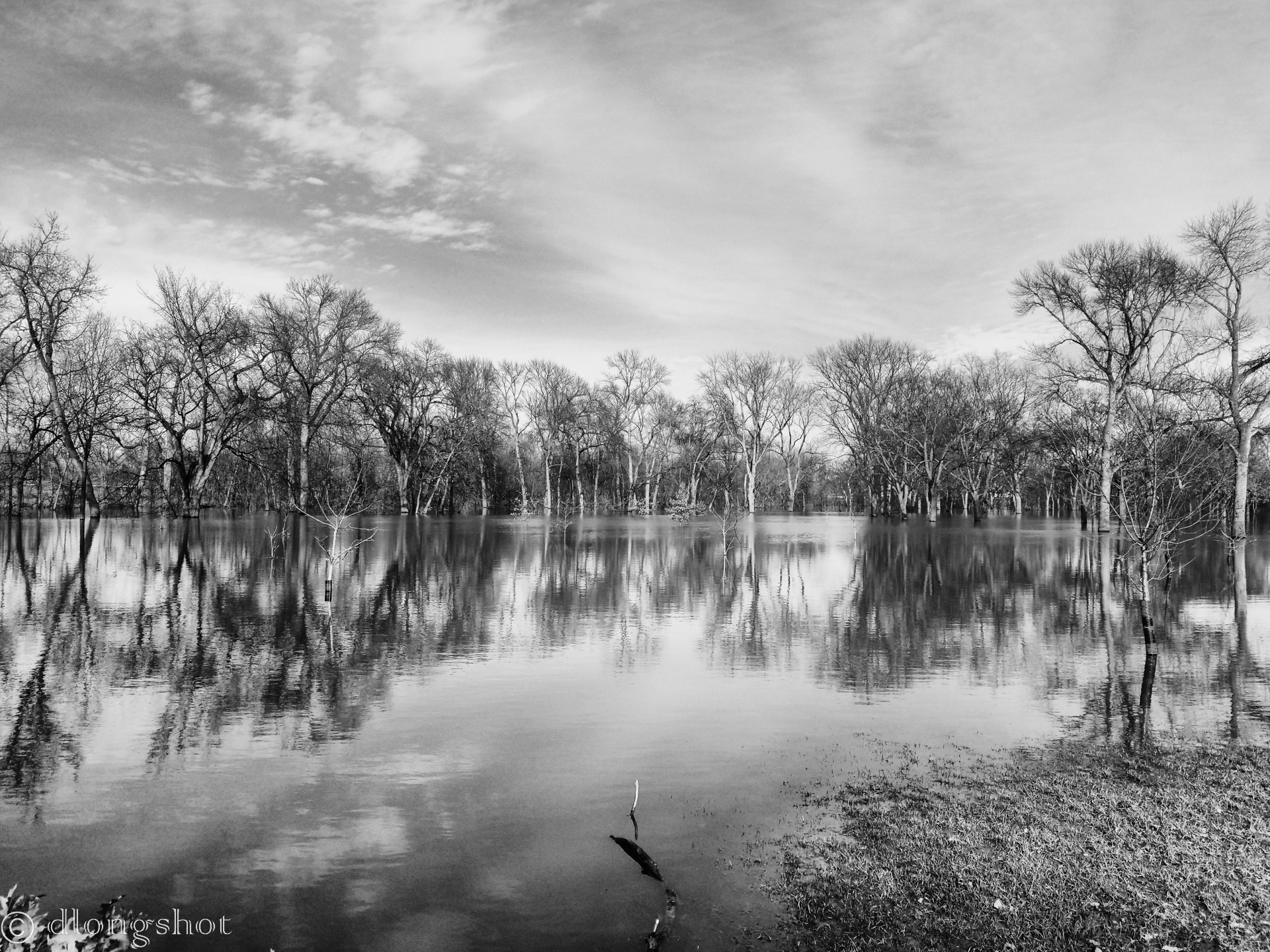 Just another Flood in the park