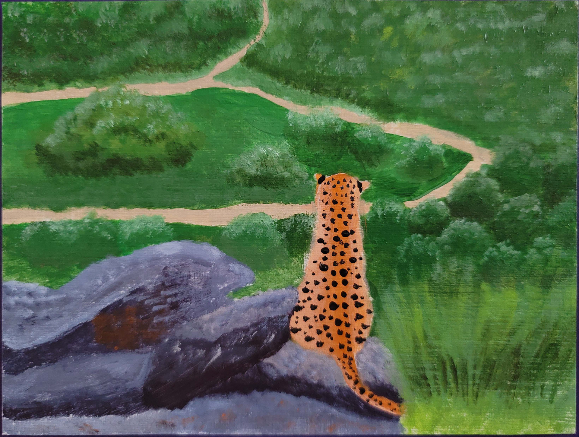 Leopard on the Watch