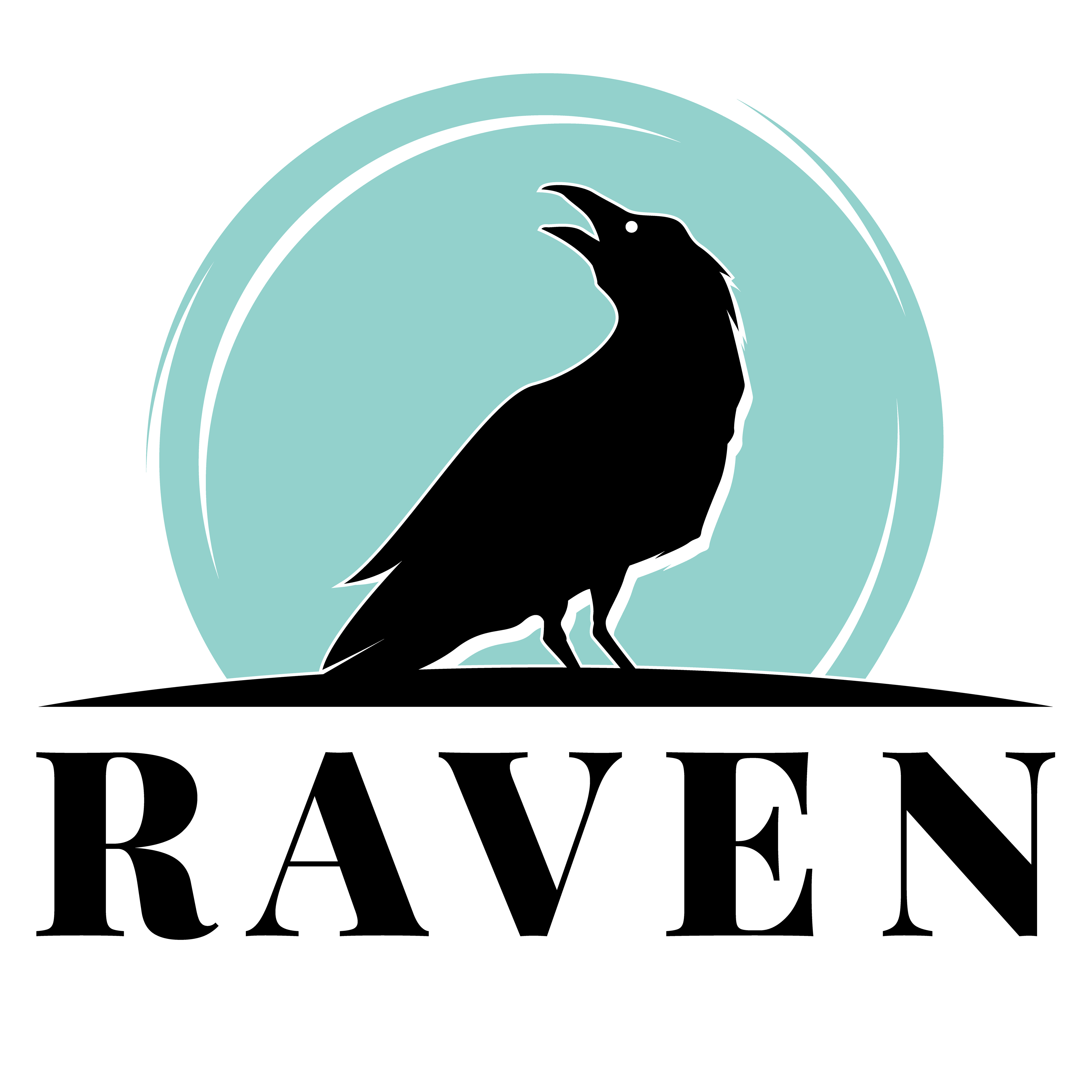 Raven Studio