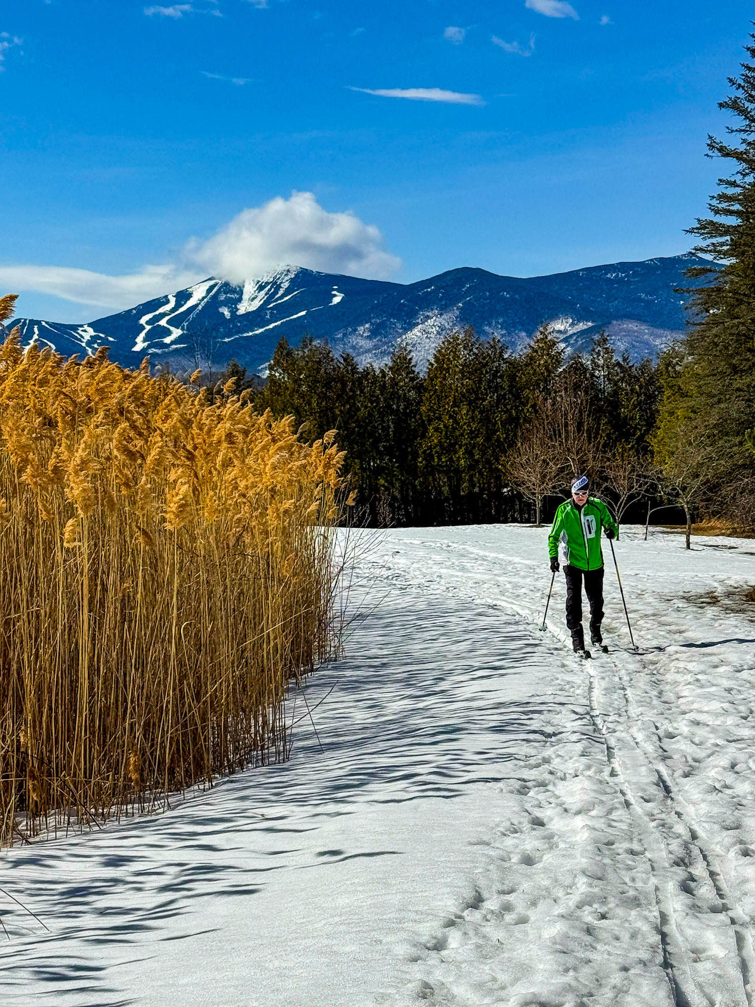 Whiteface Views in March 