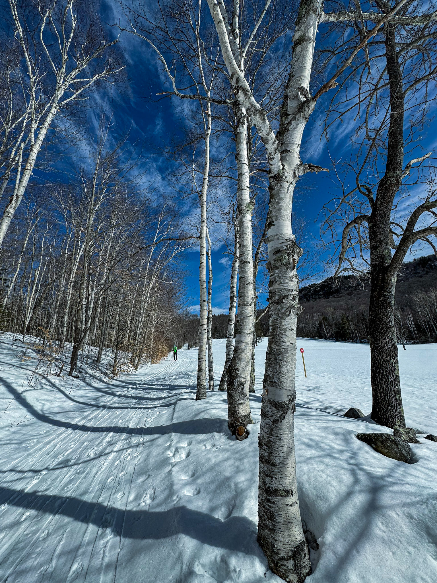 Jackrabbit Trail near Scotts Cobble 