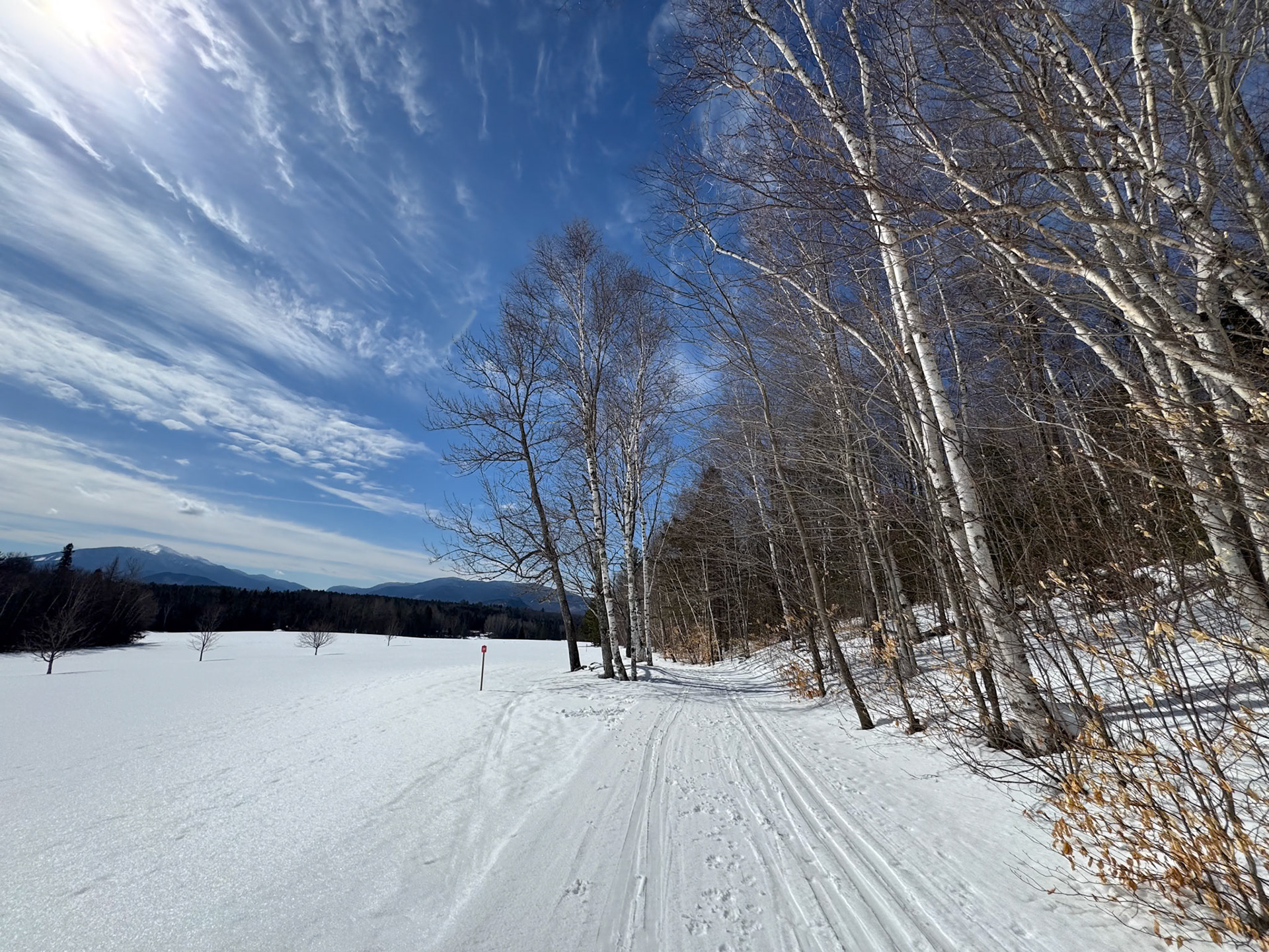 The Jackrabbit Trail 