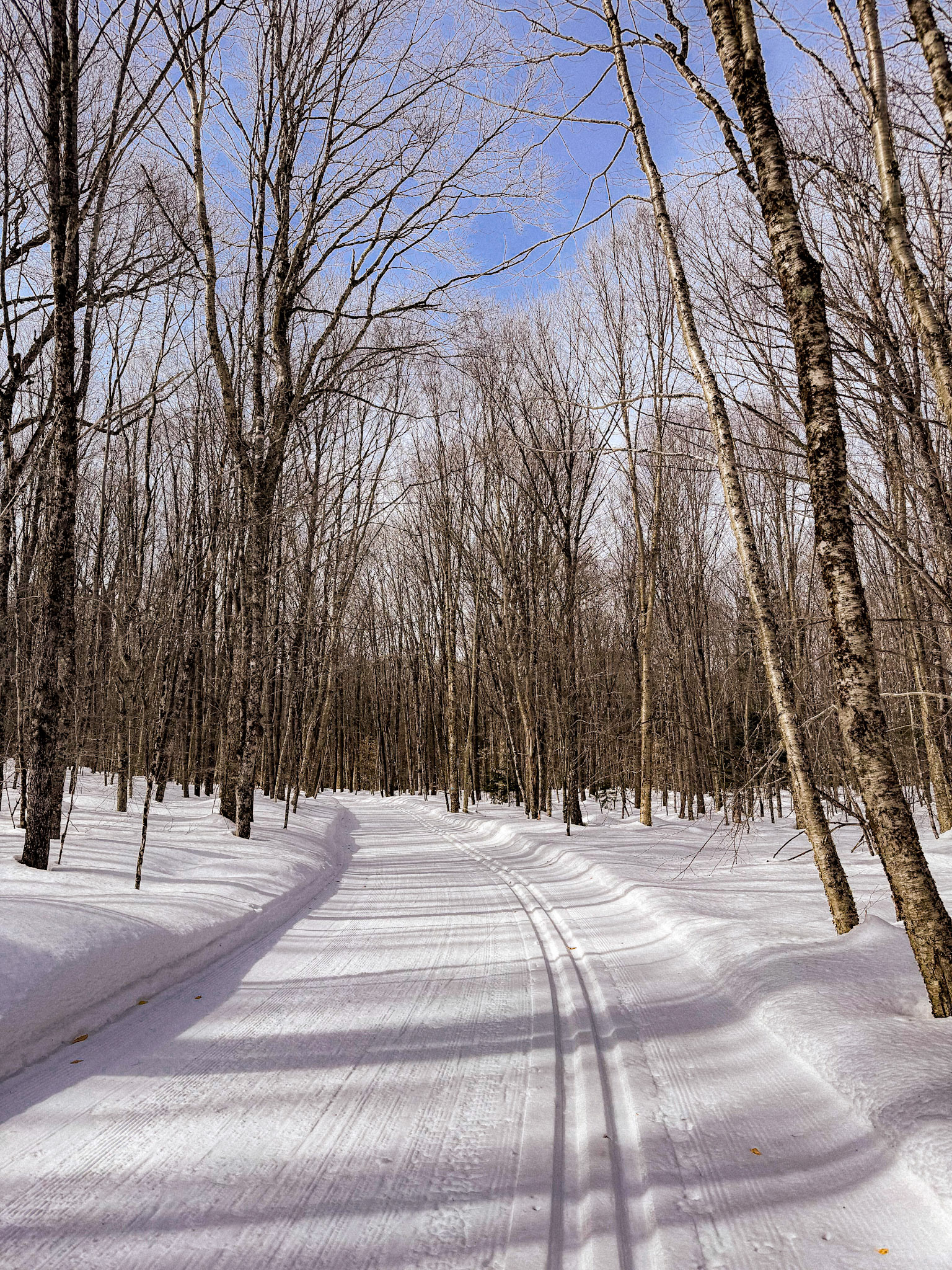 Perfect Tracks for March