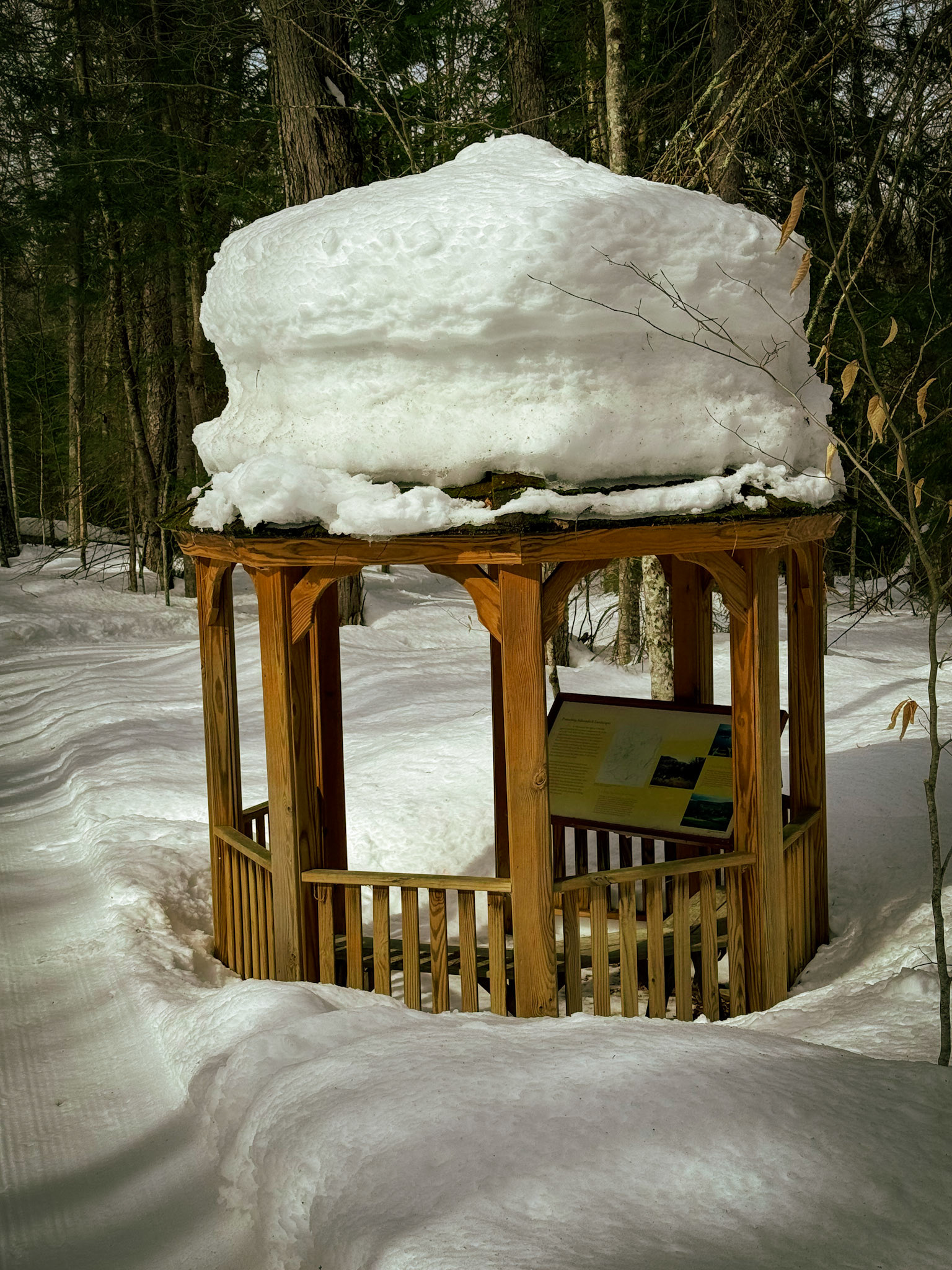 March Snow 
