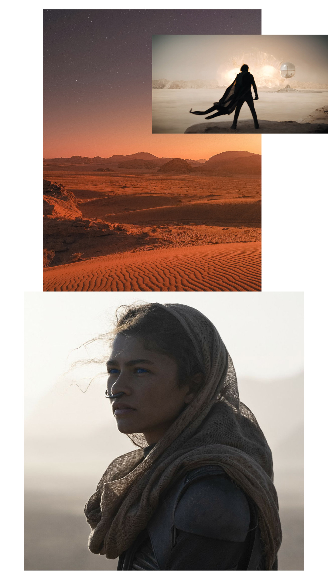 Ingredients used for Dune