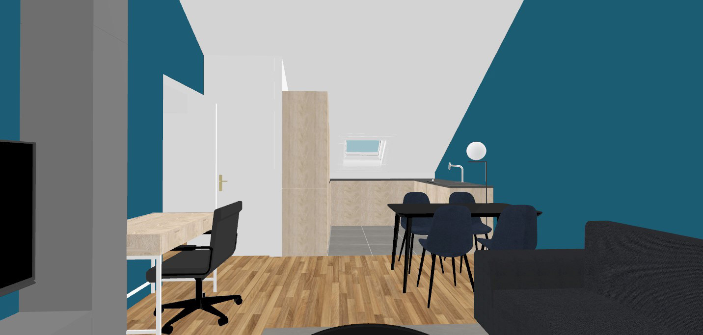 APPARTEMENT 2 PIÈCES / SALON ET CUISINE OUVERTE