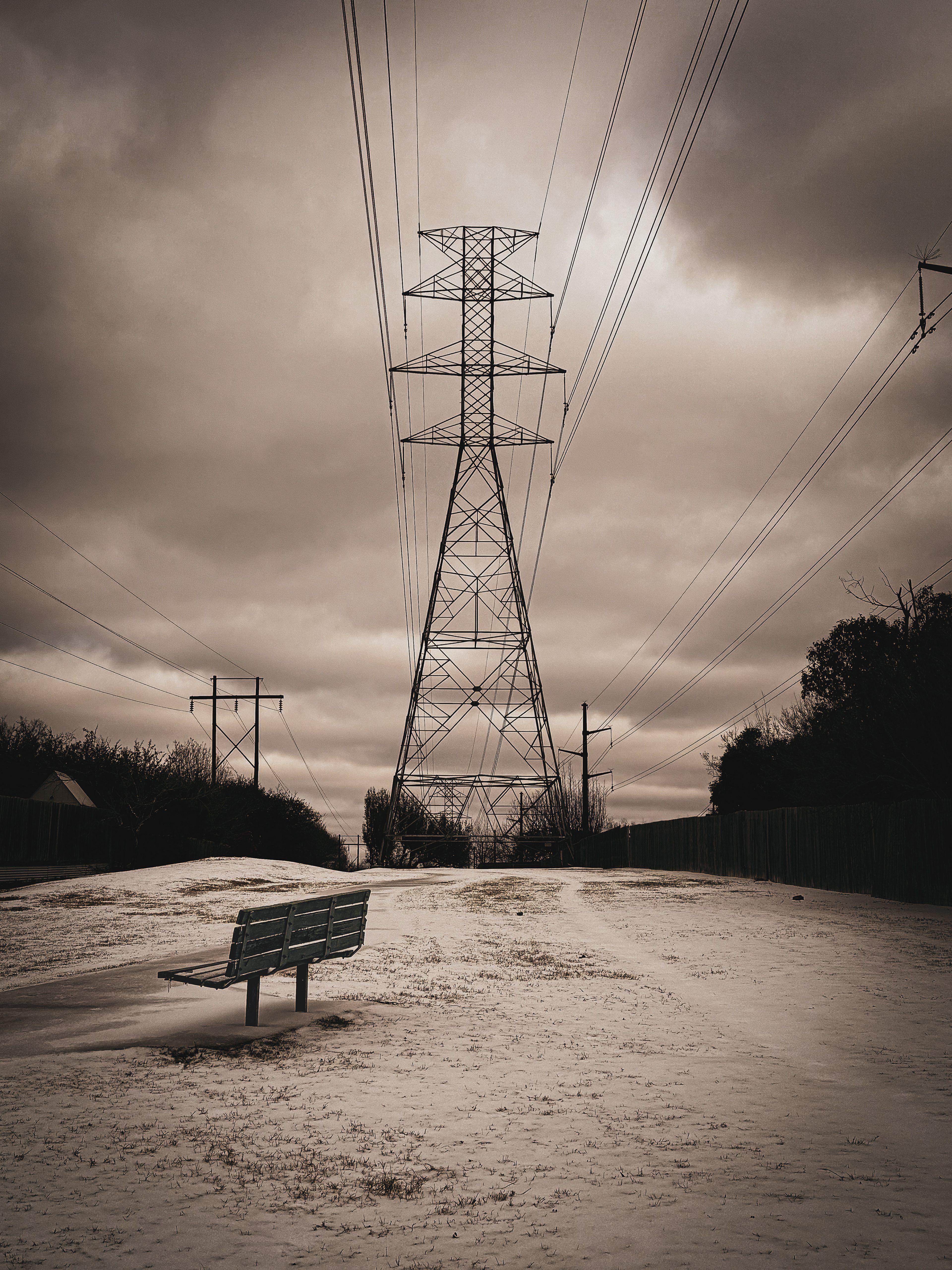 Snowday in Central Texas