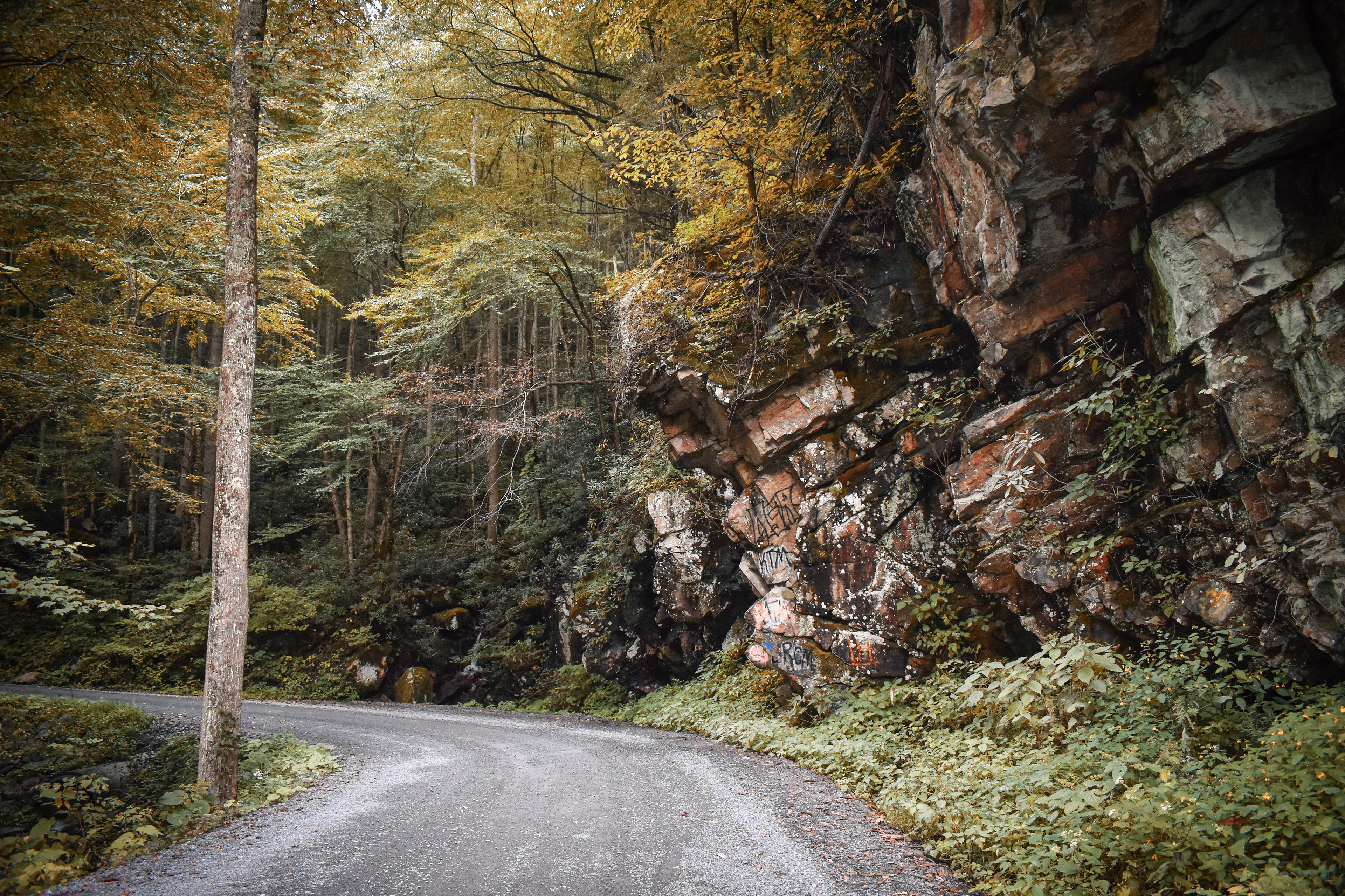 A leaning rocky mountainside along a country road in the appalachian mountain area