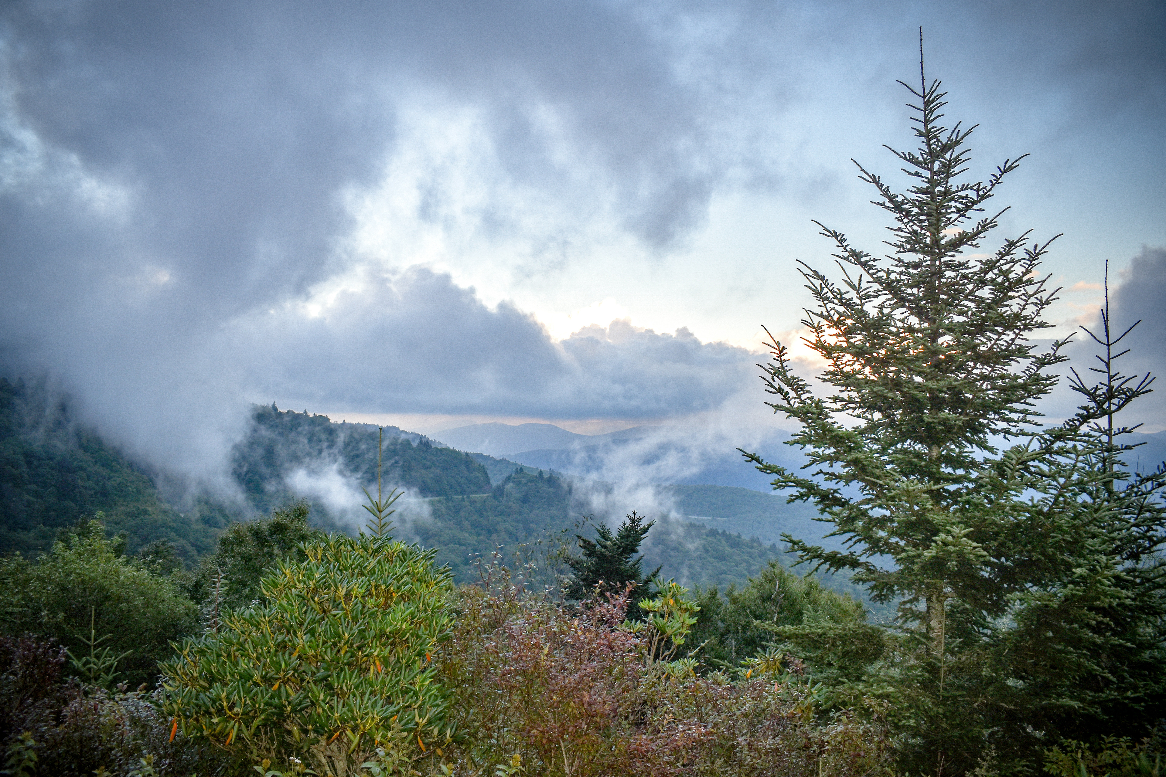 A cloudy mountainside in the Smoky Mountains National Park.