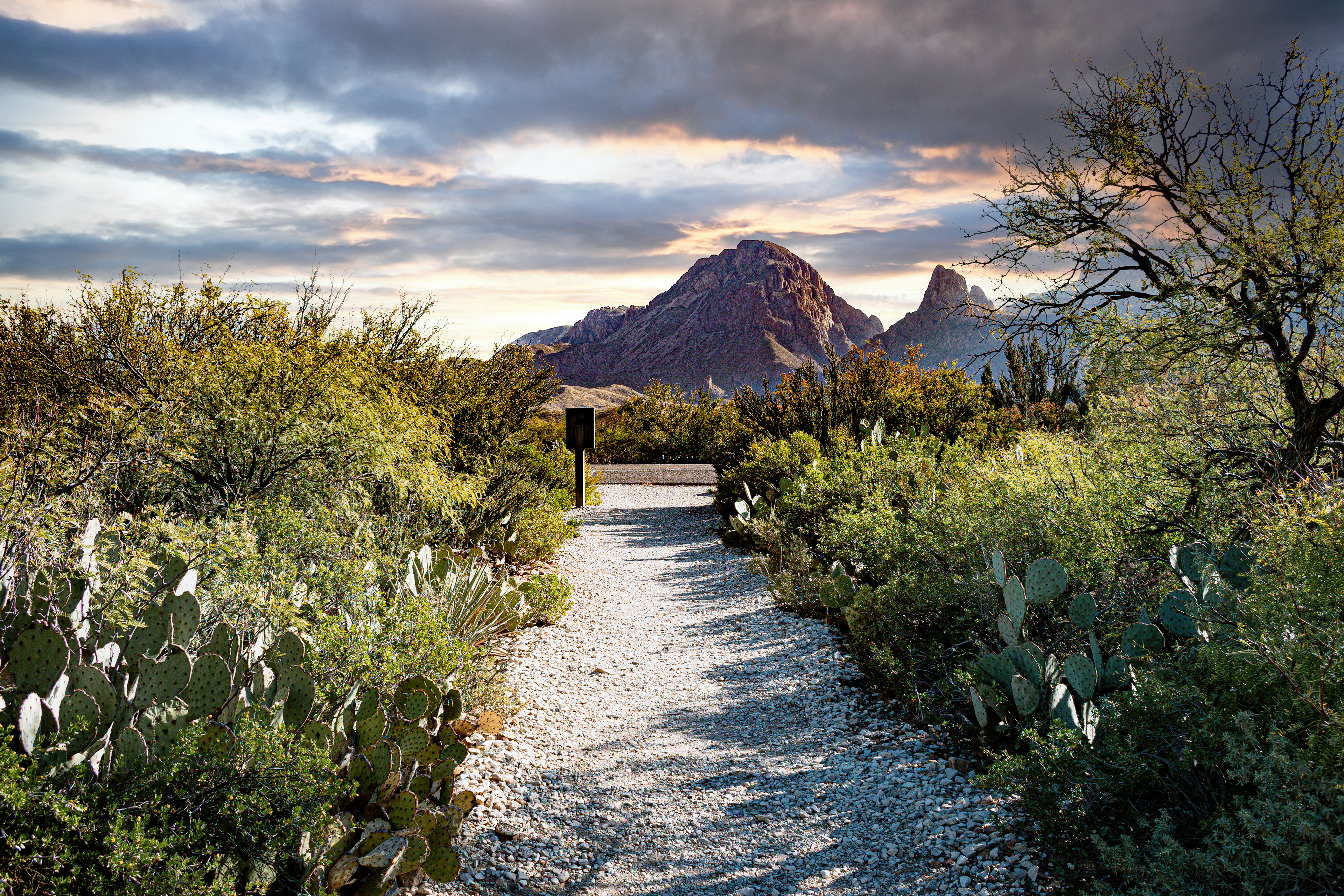 A pathway to a mountain in Big Bend National Park