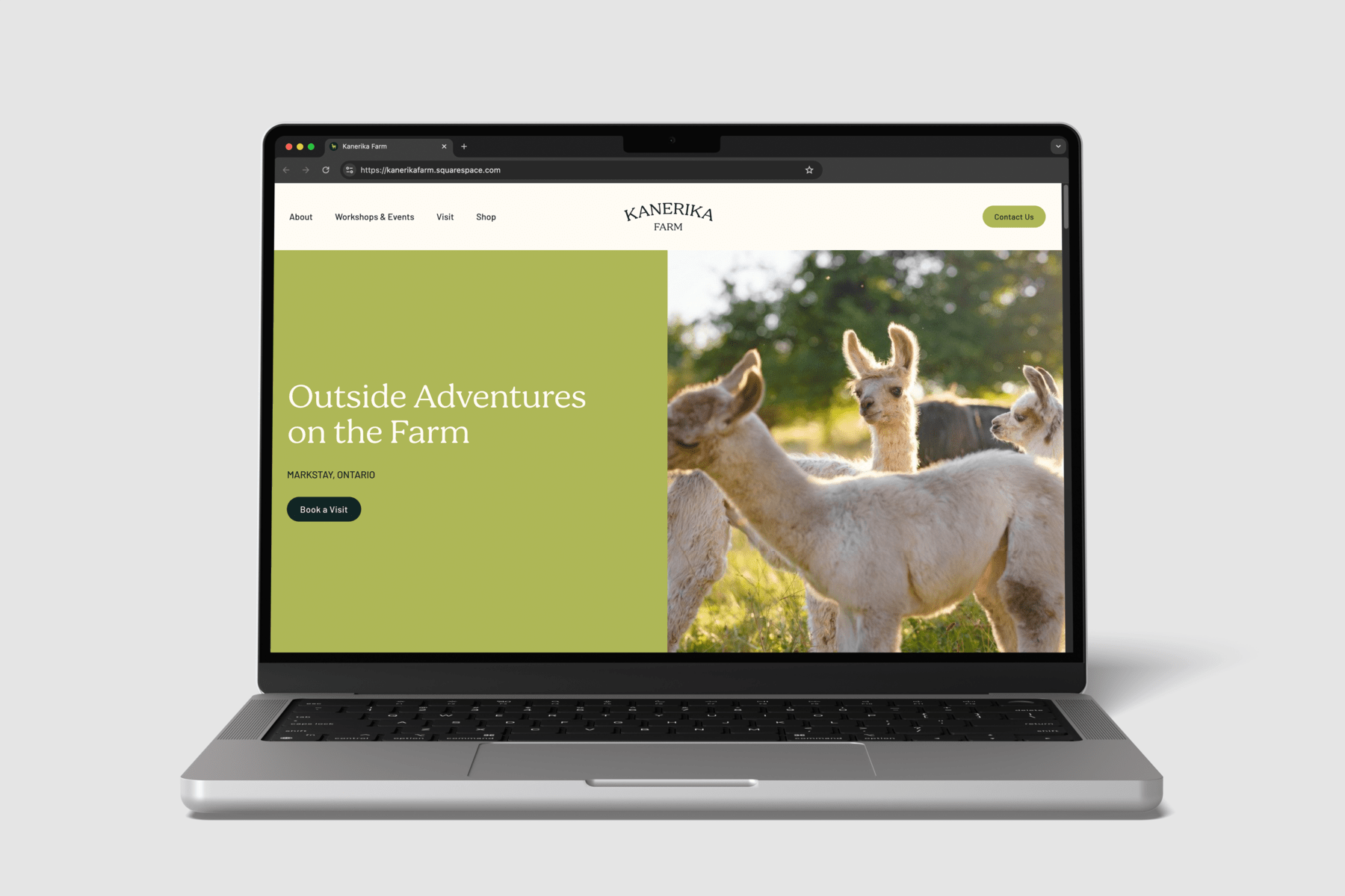Laptop with the Kanerika Farm website homepage