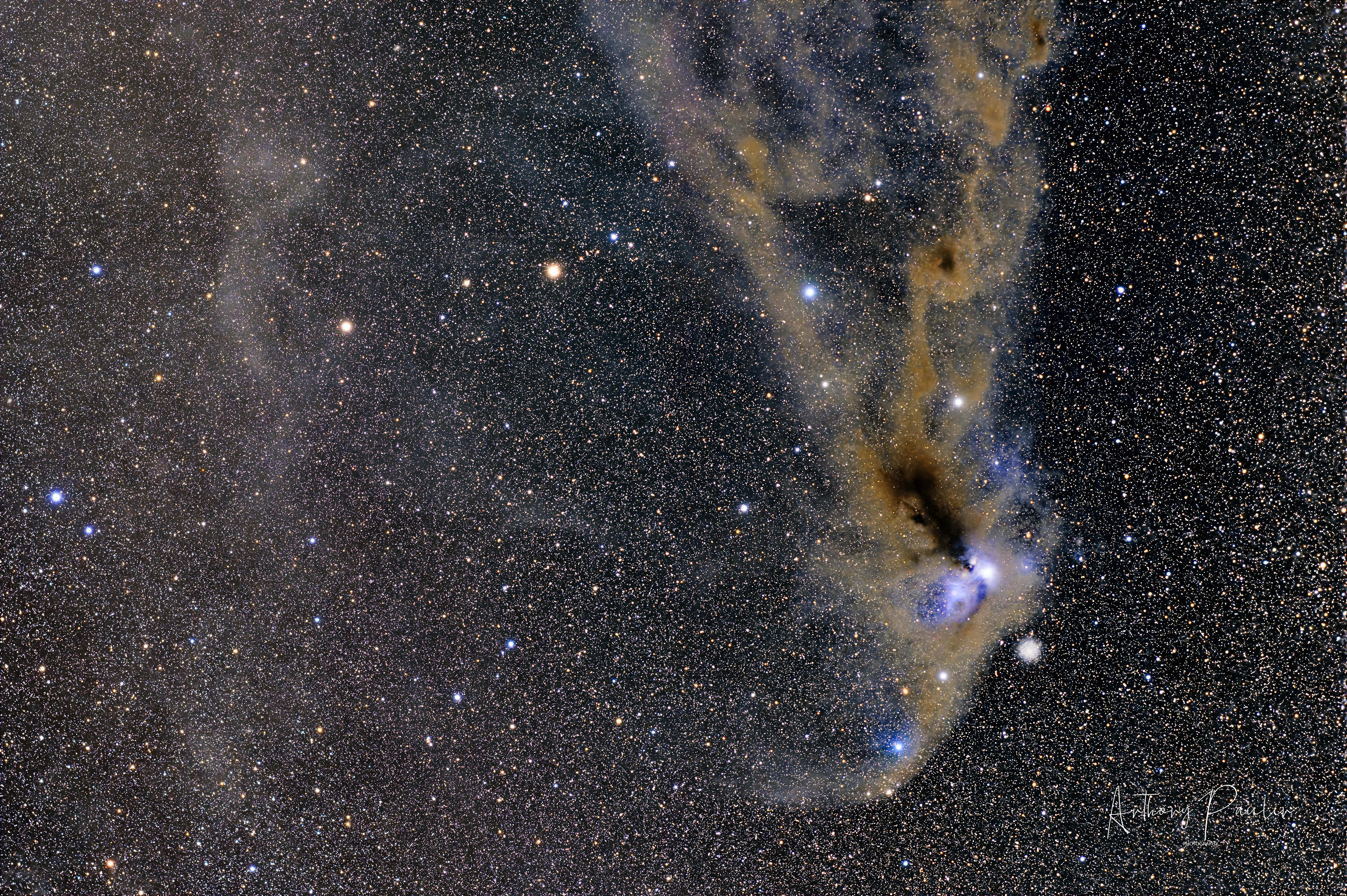  Corona Australis 🔭 Telescope: Redcat 51 📷 Camera: Nikon D780 🌀 Mount: ZWO AM3 🎯 Filters: Optolong UV/IR Cut 🕒 Exposure: 180s per sub, total 3h
