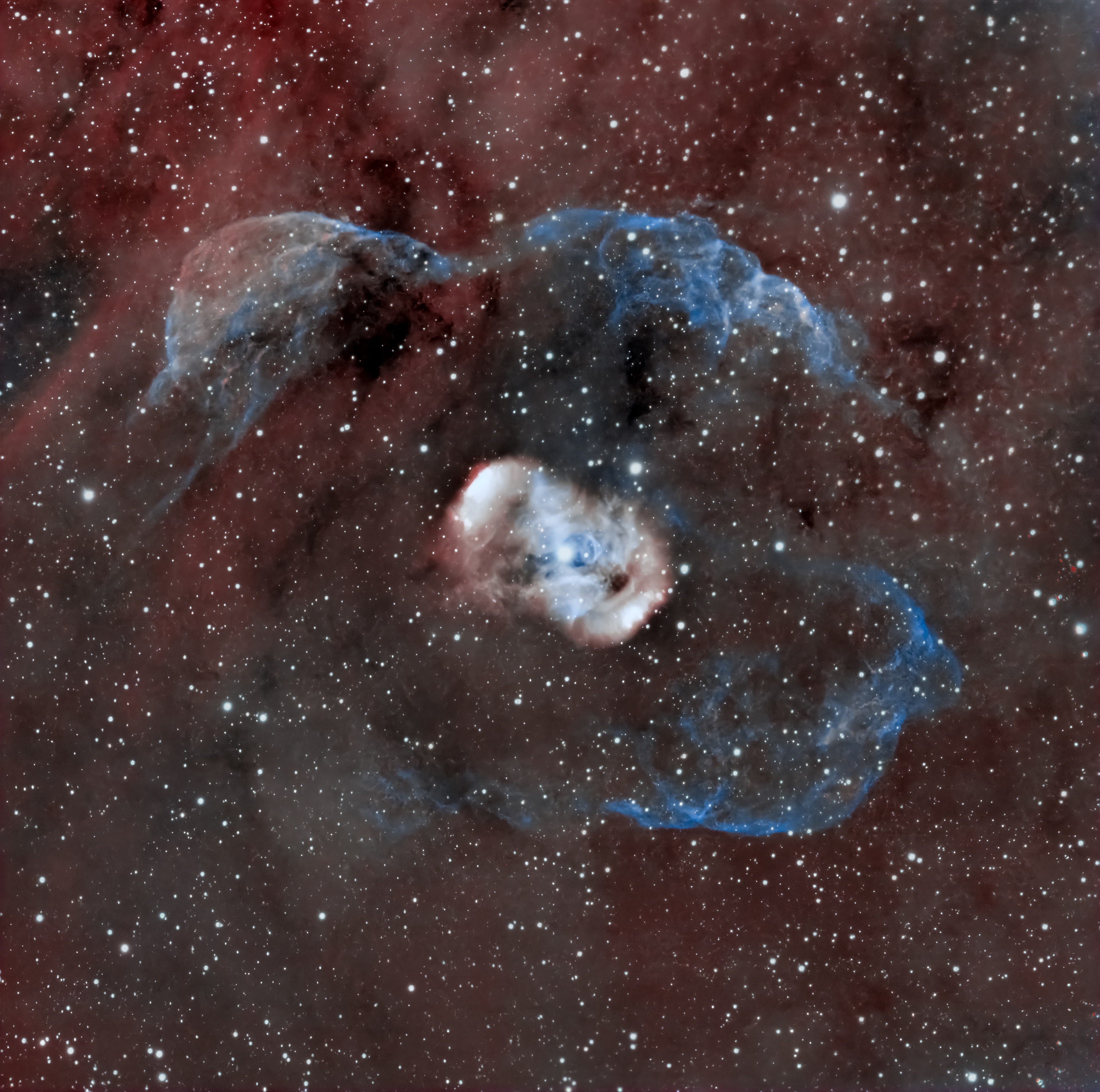 the dragon's egg nebula 🔭 Telescope: Celestron EdgeHD 8" 📷 Camera: ZWO ASI 533MC Pro 🌀 Mount: NEQ6 Pro 🎯 Filters: Optolong L-extreme 🕒 Exposure: 4h HA + OIII ( 4 Panels )
