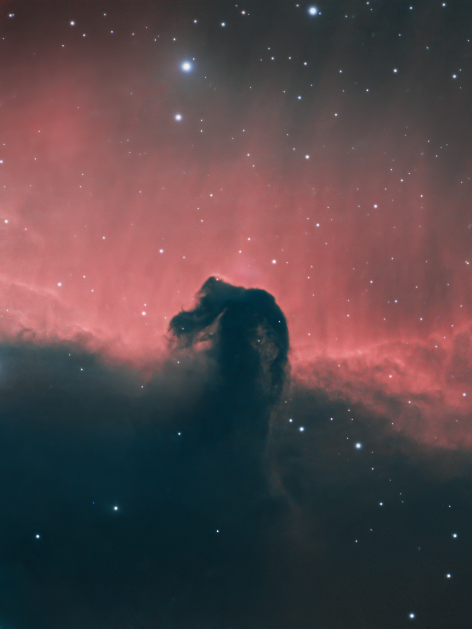 The Horsehead Nebula 🔭 Telescope: Celestron EdgeHD 8" 📷 Camera: ZWO ASI 533MC Pro 🌀 Mount: NEQ6 Pro 🎯 Filters: Optolong L-extreme 🕒 Exposure: 6.25h (HA + OIII)