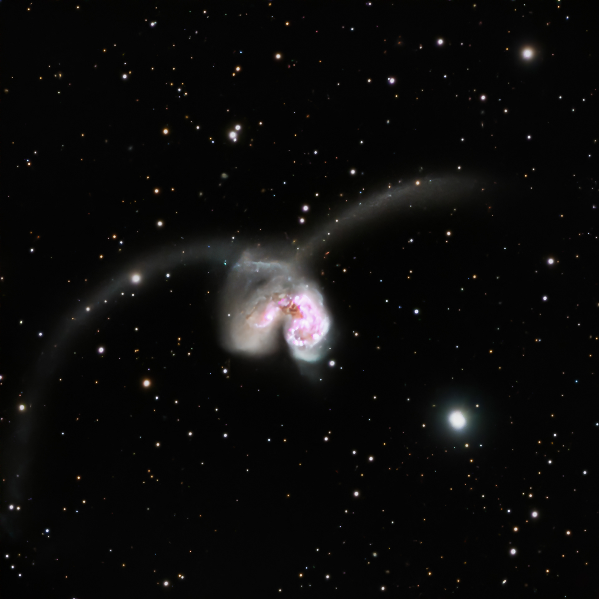 The antennae galaxies 🔭 Telescope: Celestron EdgeHD 8" 📷 Camera: ZWO ASI 533MC Pro 🌀 Mount: NEQ6 Pro 🎯 Filters: Optolong L-extreme and UV/IR cut 🕒 Exposure: 1h HA + 2h RGB