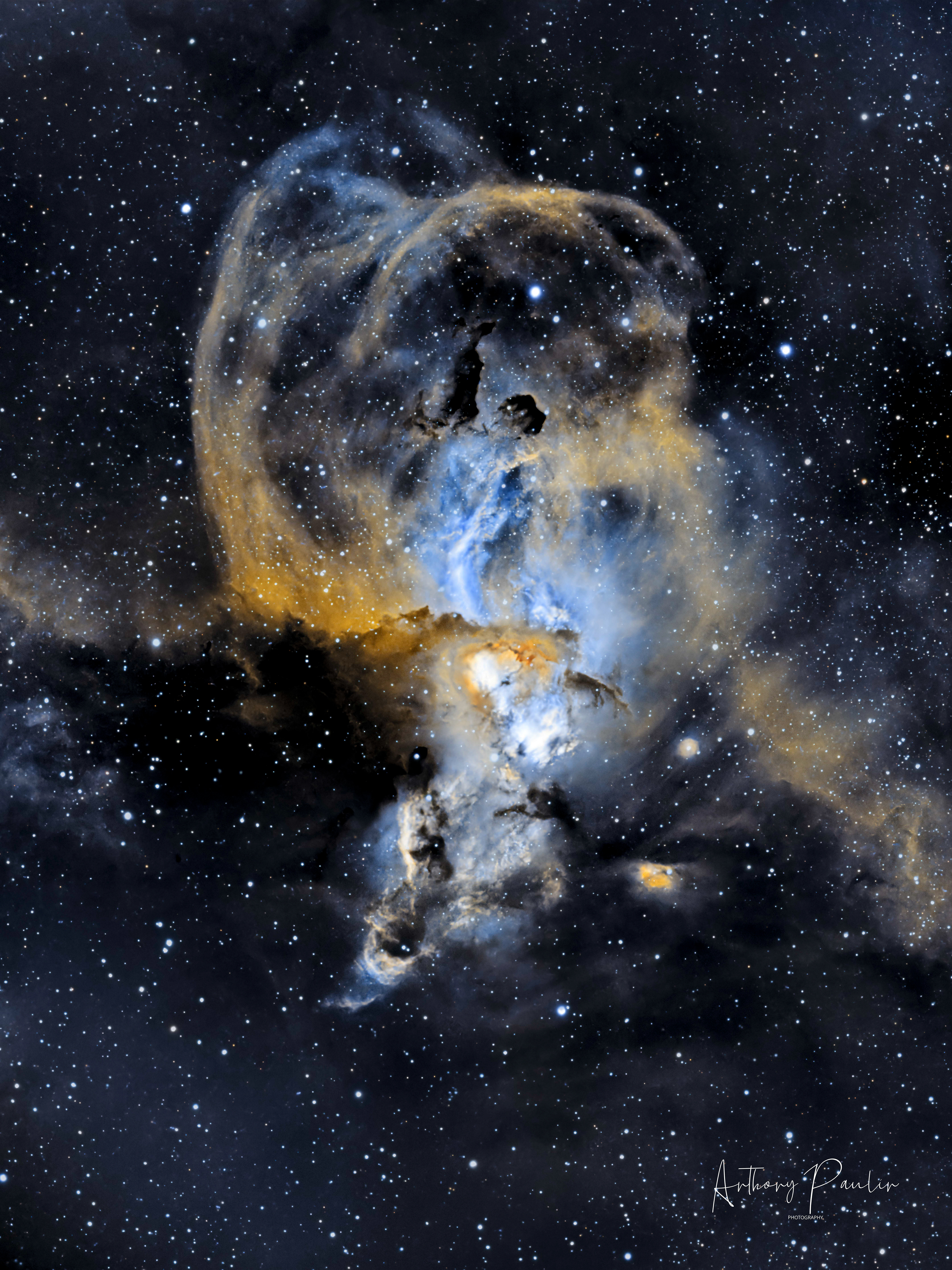 Torch bearer NebulaCamera: ZWO ASI 533MC PRO Telescope : Celestron Edge HD8 Mount: ZWO AM3 Filter: Optulong L-Extreme 300s per sub, 4h in total (1h per panel)