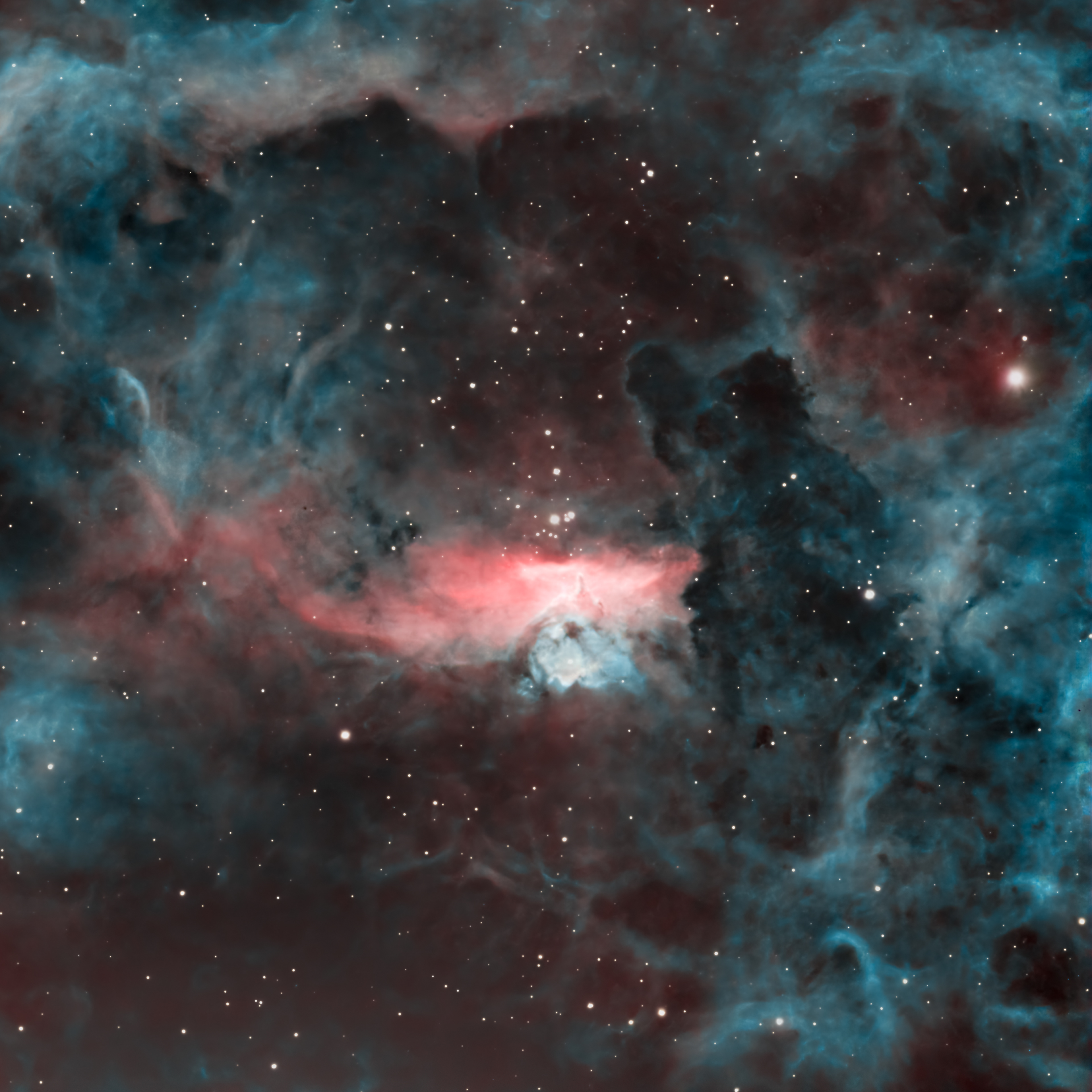 Pismis 24 🔭 Telescope: Celestron EdgeHD 8" 📷 Camera: ZWO ASI 533MC Pro 🌀 Mount: NEQ6 Pro 🎯 Filters: Optolong L-extreme 🕒 Exposure: 14.5h HA + OIII